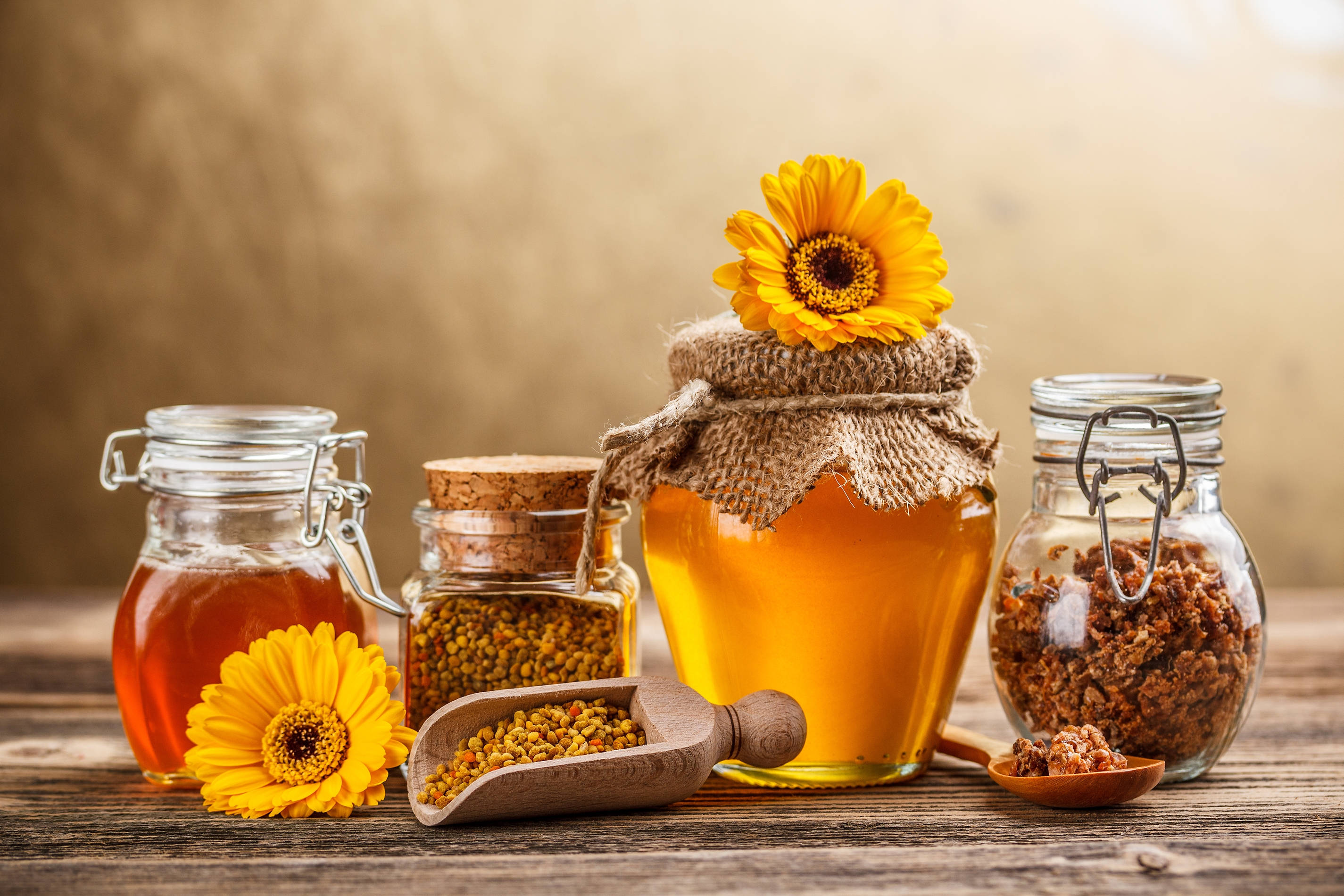 honey, bee pollen, sunflowers, 2K Desktop Wallpaper