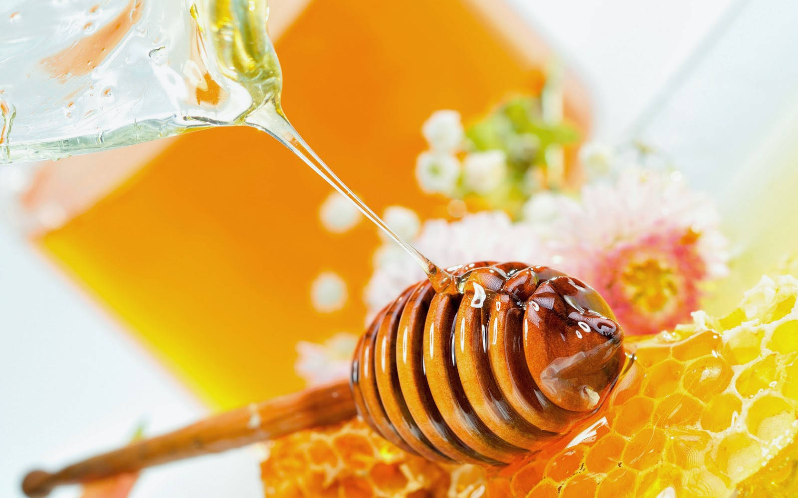 yellow aesthetic, honey dipper, golden honey, HD Desktop Wallpaper