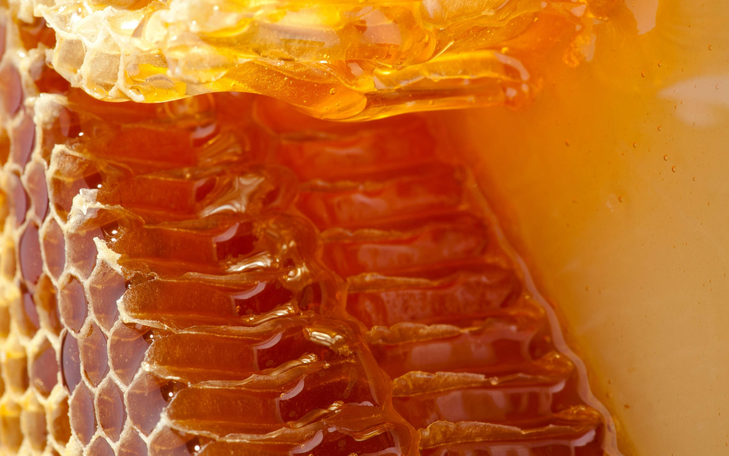 raw honey, golden honey, hexagonal wax comb, 2K Desktop Wallpaper