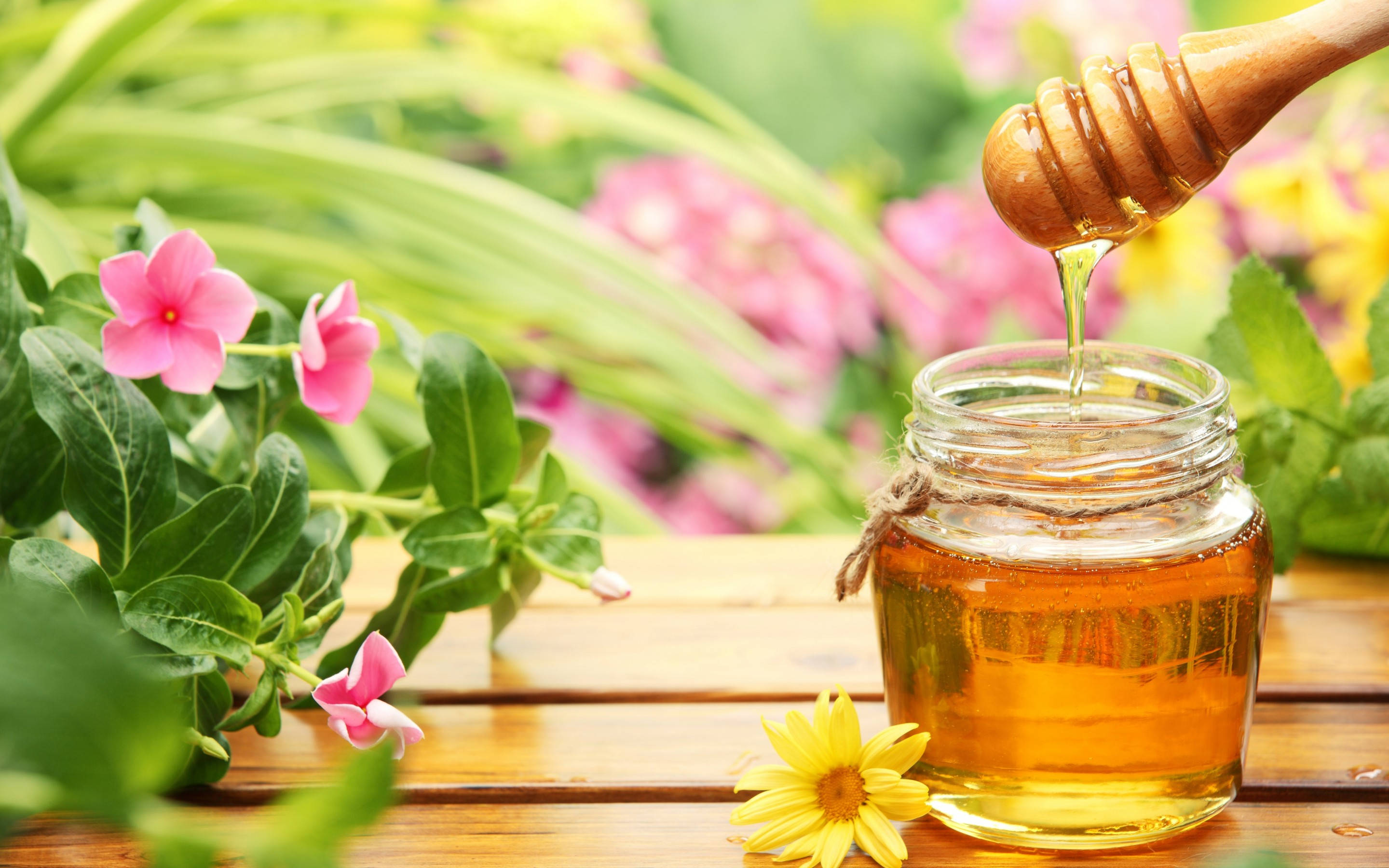 honey, wooden dipper, glass jar, 2K Desktop Wallpaper