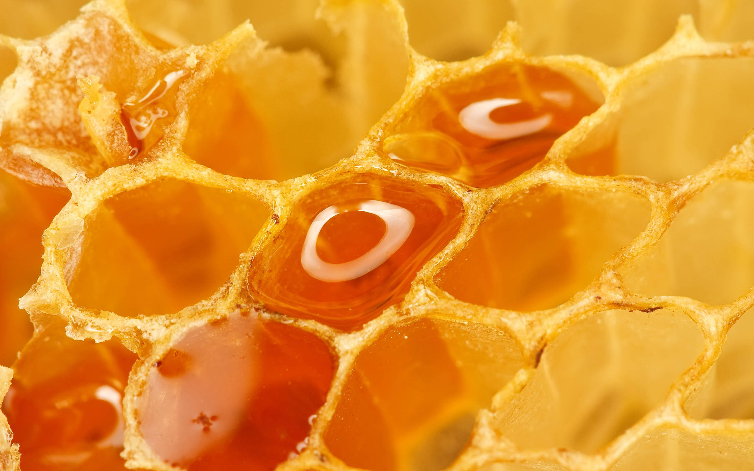golden honeycomb cells, glistening amber honey, close-up, 2K Desktop Wallpaper
