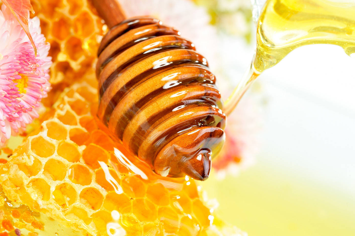 wooden dipper, golden honey, honeycomb, HD Desktop Wallpaper
