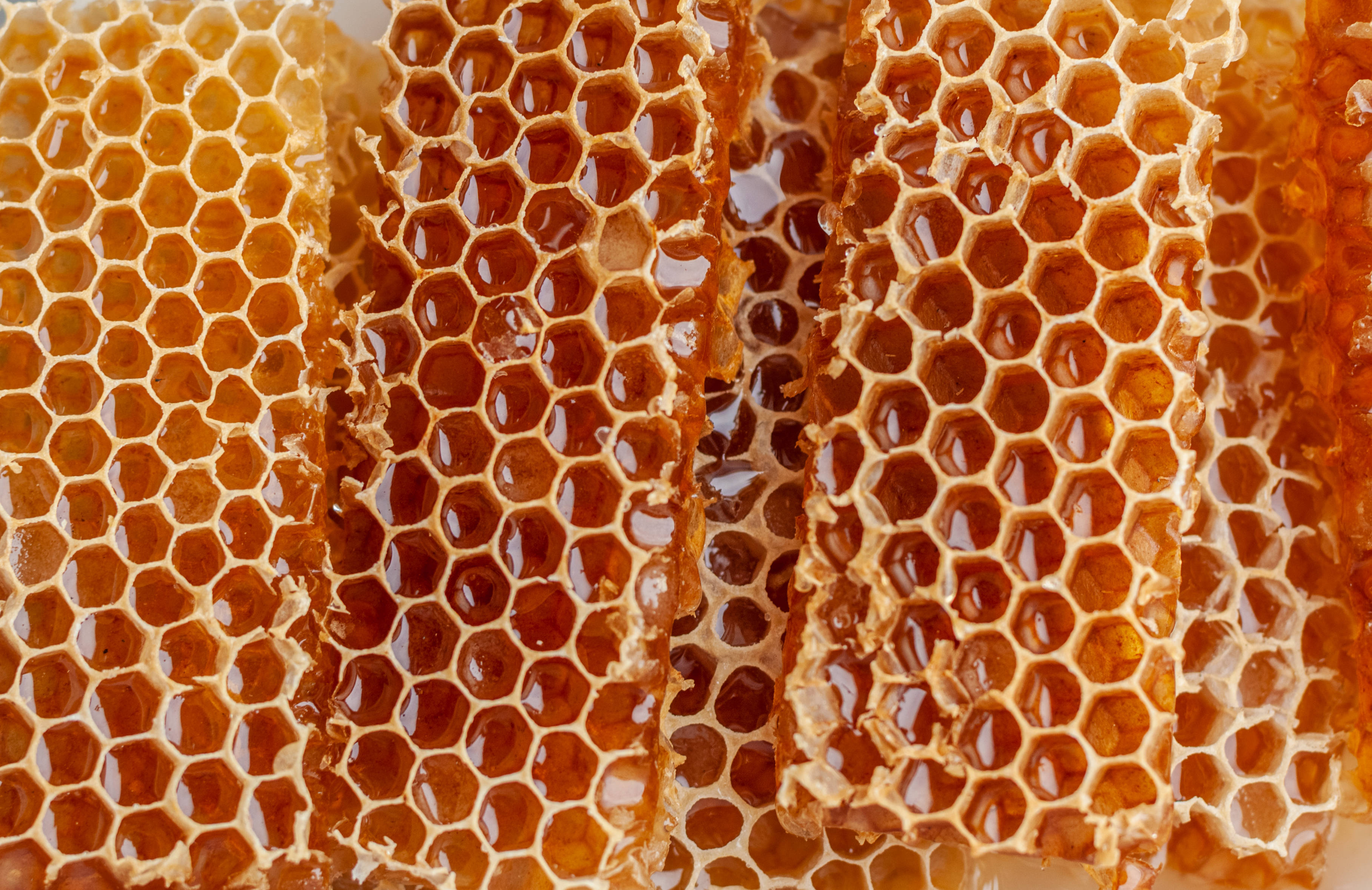 honeycomb, golden honeycomb cells, amber honey, 2K Desktop Wallpaper