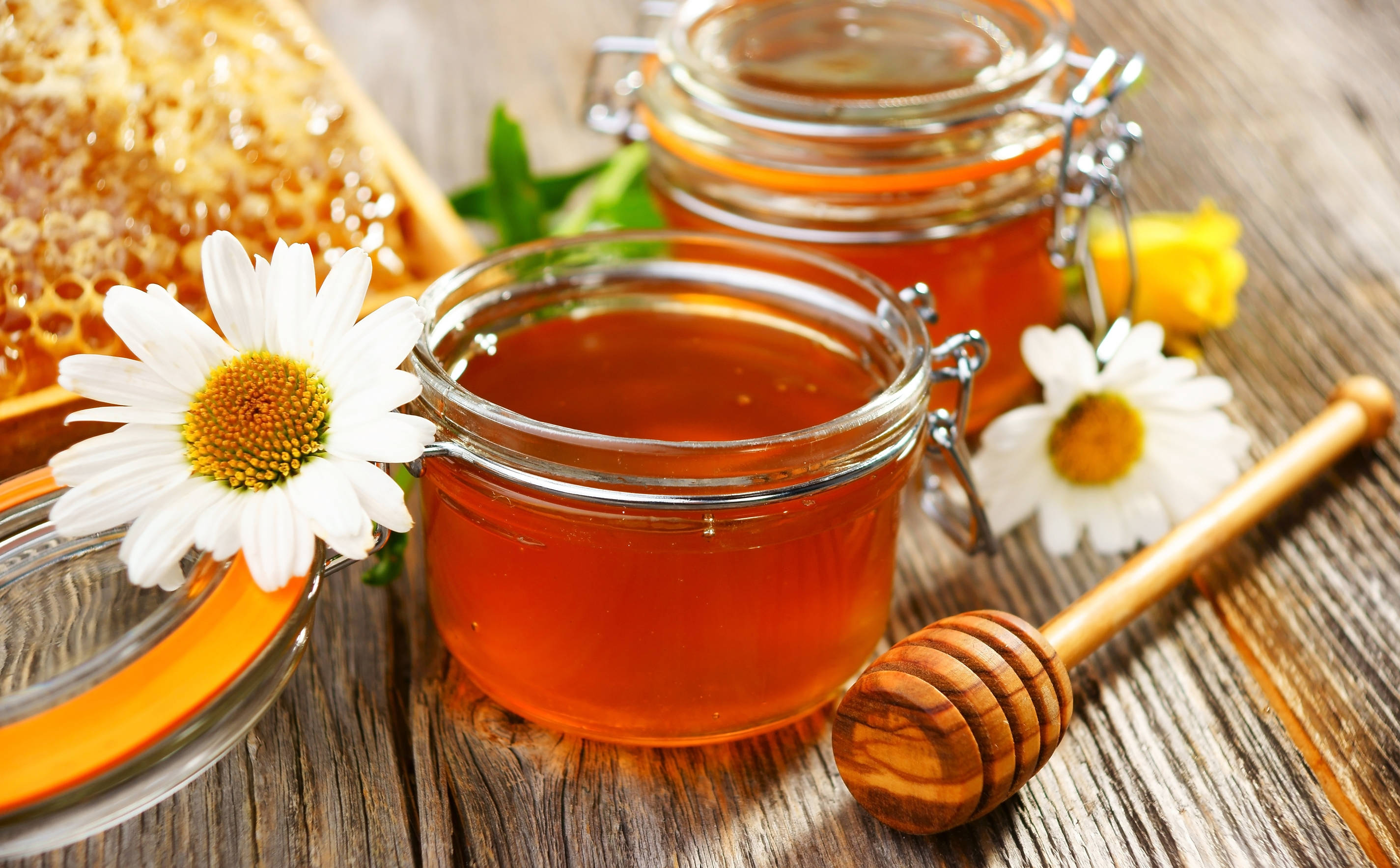 honey jars, white flowers, daisies, 2K Desktop Wallpaper