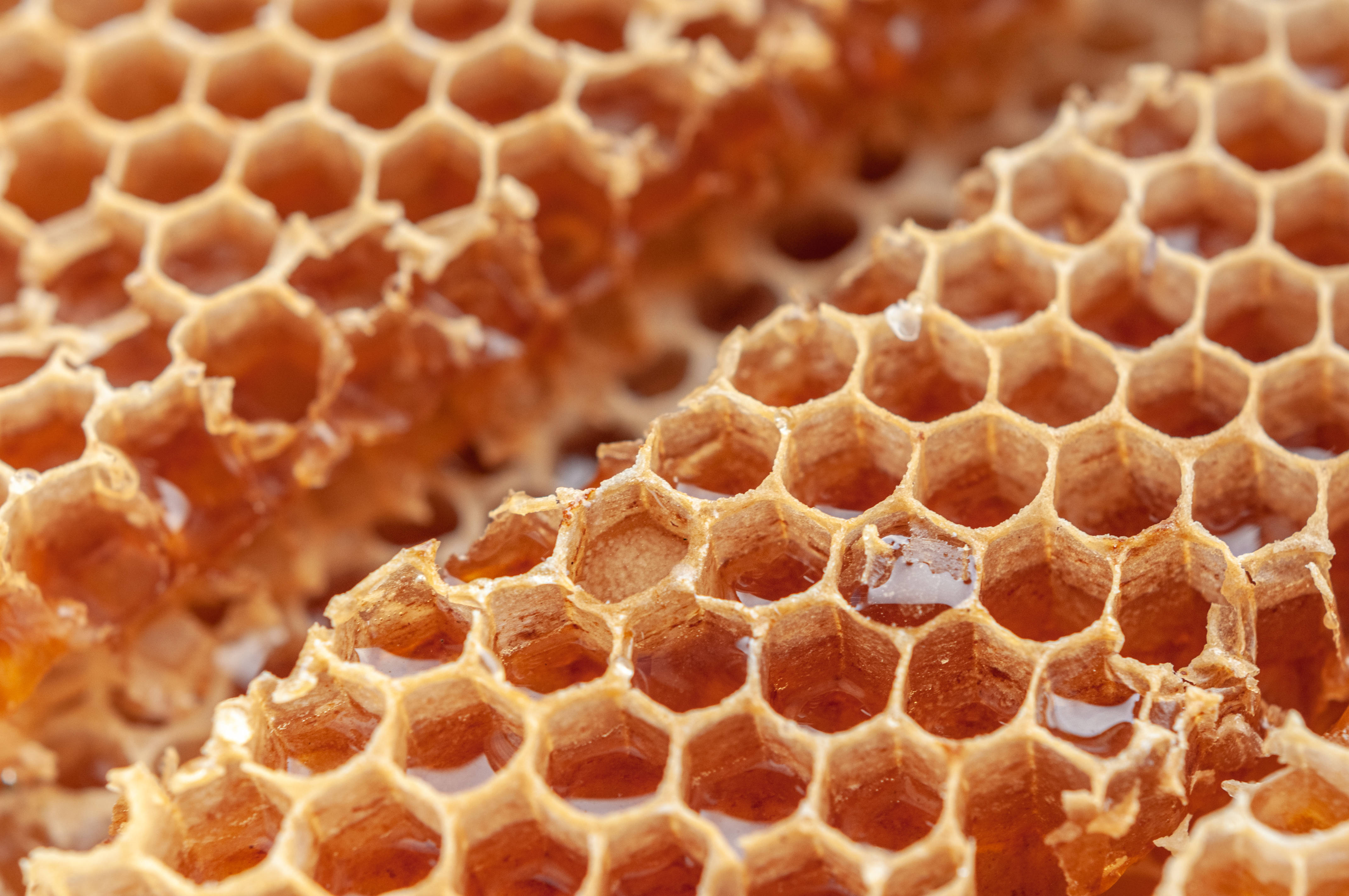 Honeycomb, golden honeycomb cells, thick amber honey, 4K Desktop Wallpaper