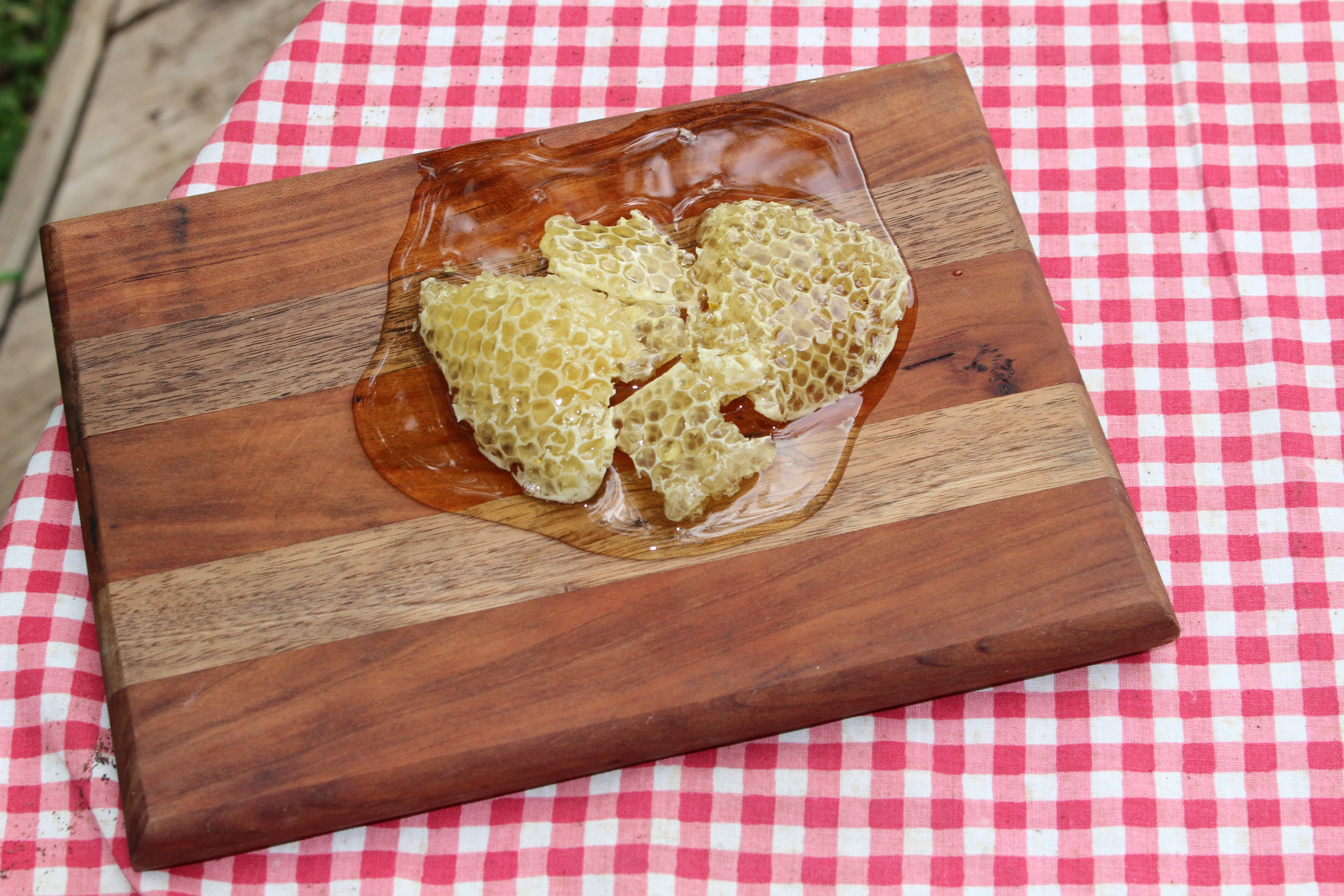 honeycomb, wood board, dripping honey, 5K Desktop Wallpaper