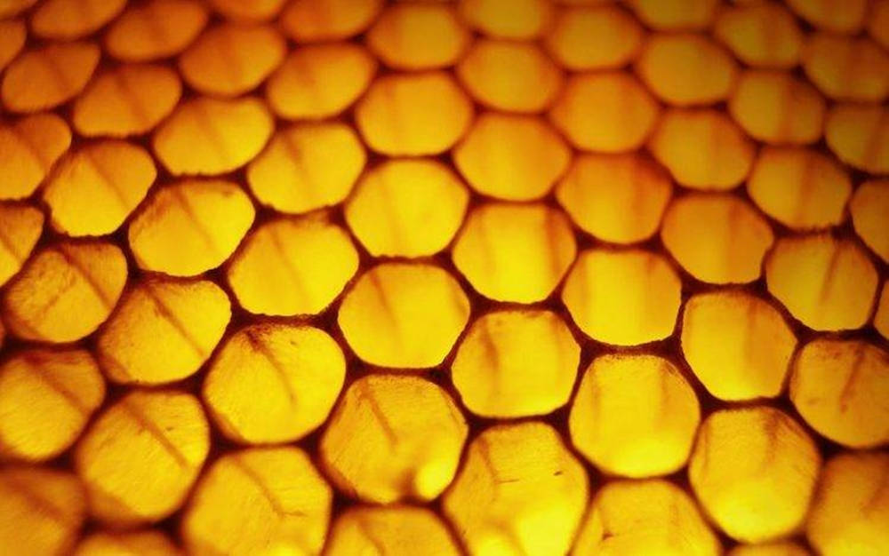 honeycomb, golden honeycomb cells, soft light, SD Desktop Wallpaper