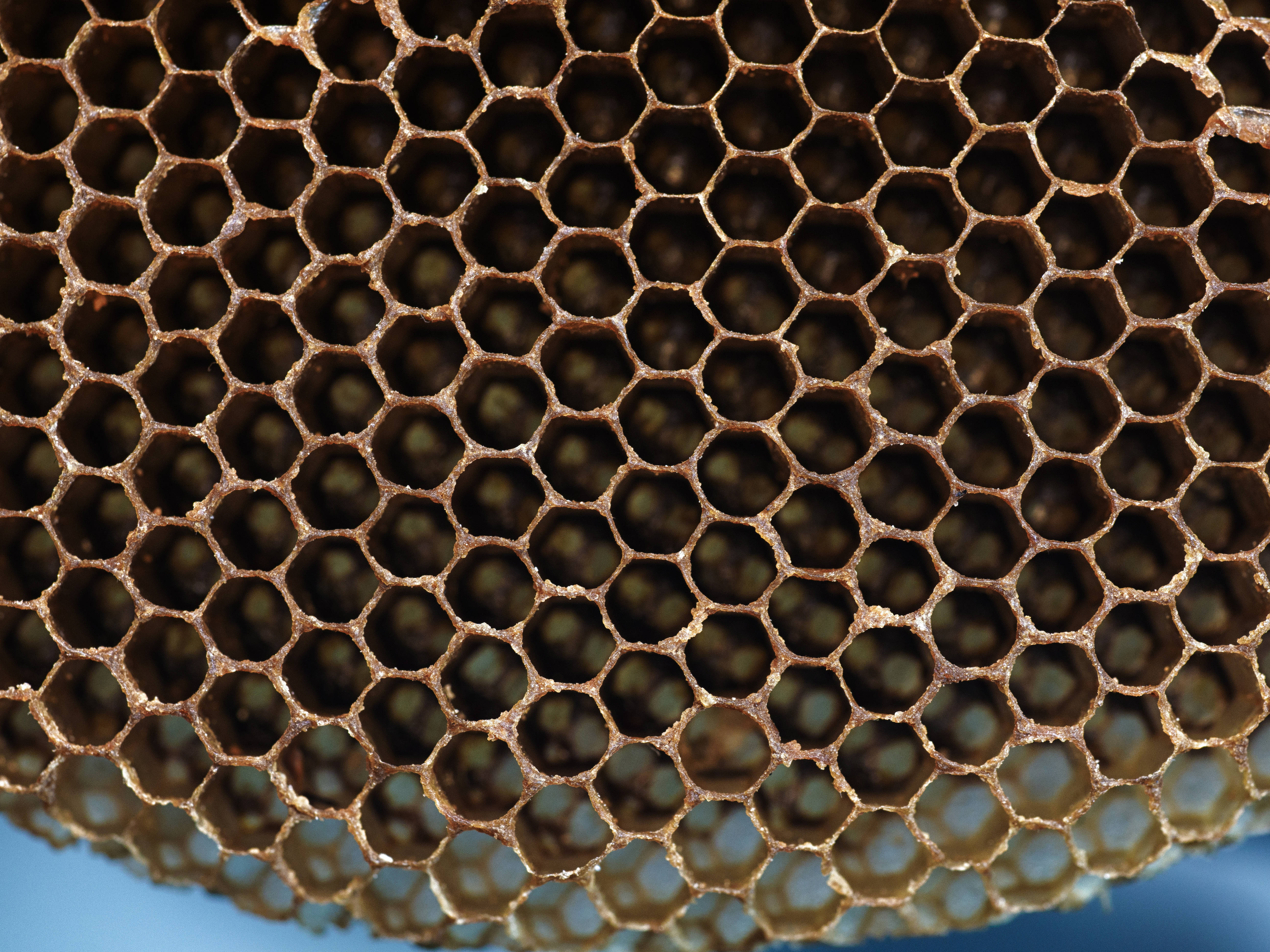 Honeycomb, hexagonal wax cells, warm amber tones, 5K Desktop Wallpaper