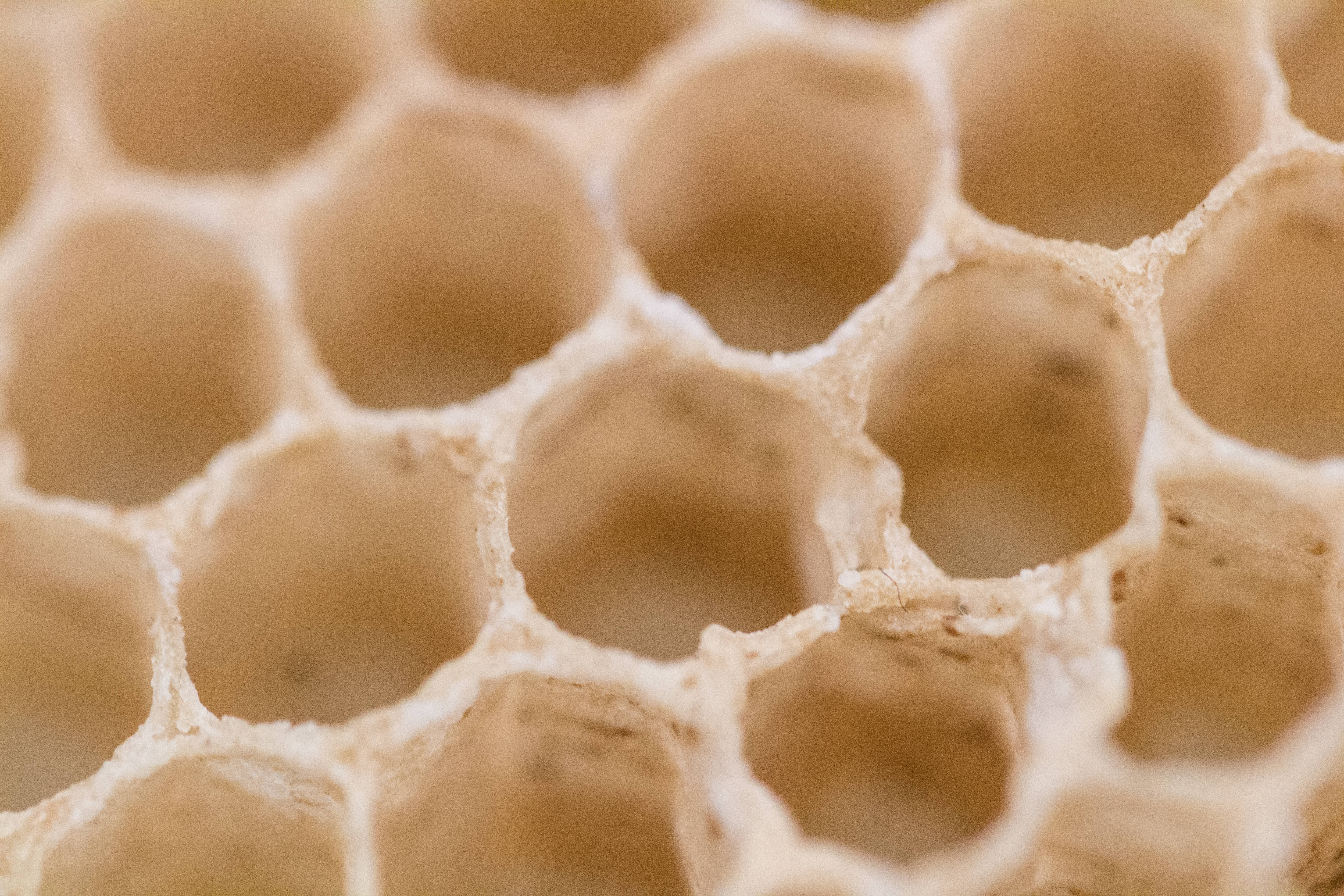 Honeycomb, white, empty, 4K Desktop Wallpaper