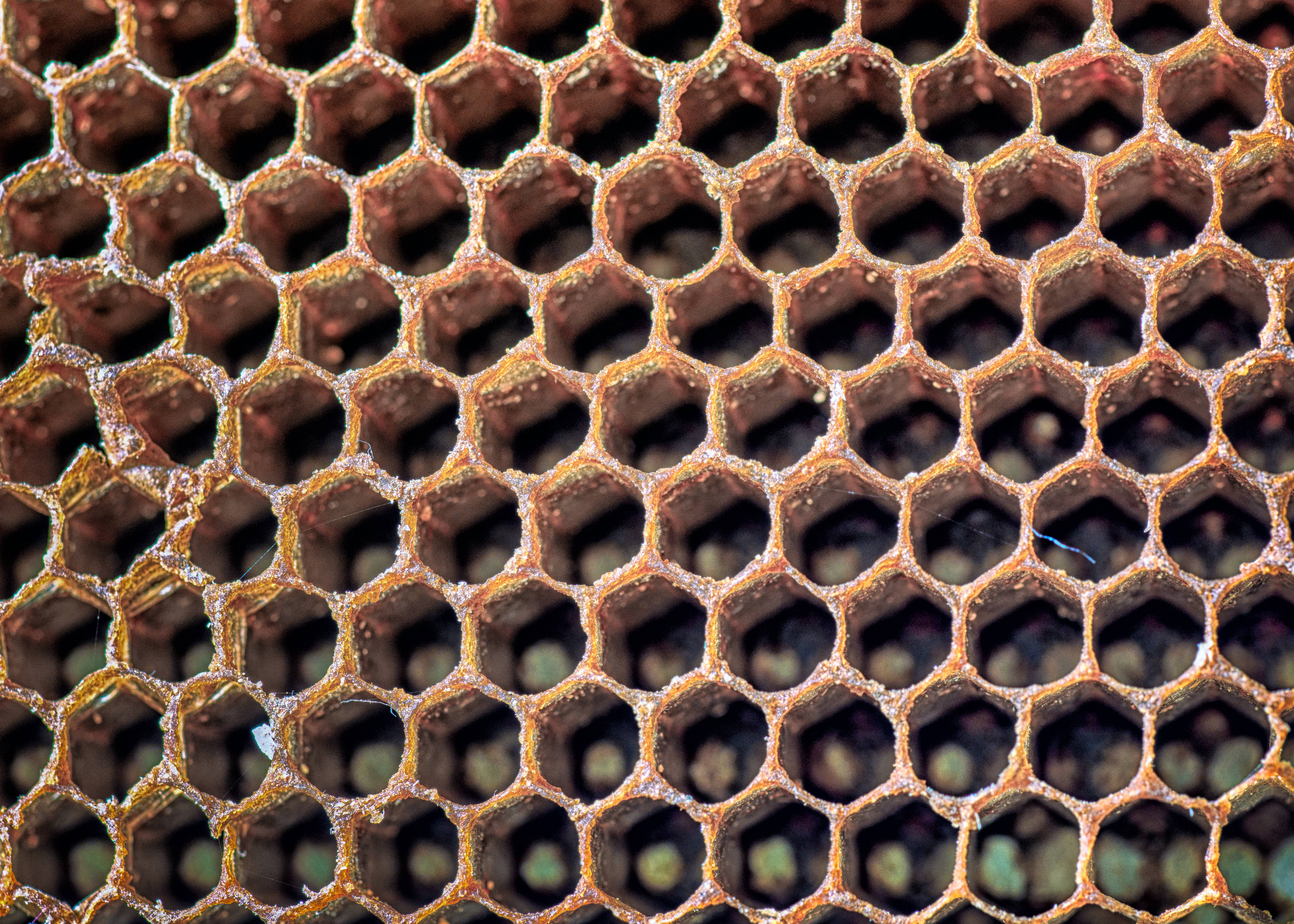 honeycomb, hexagonal cells, amber tones, 4K Desktop Wallpaper