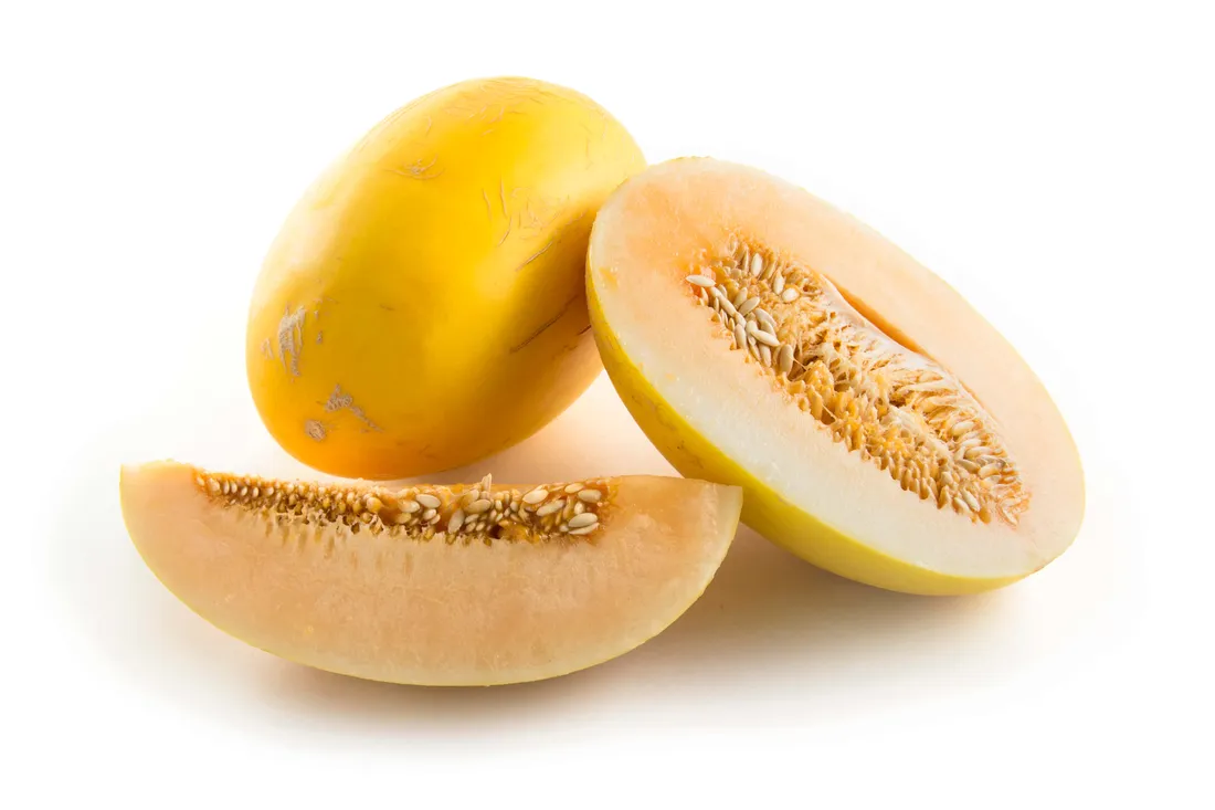 Honeydew Melon