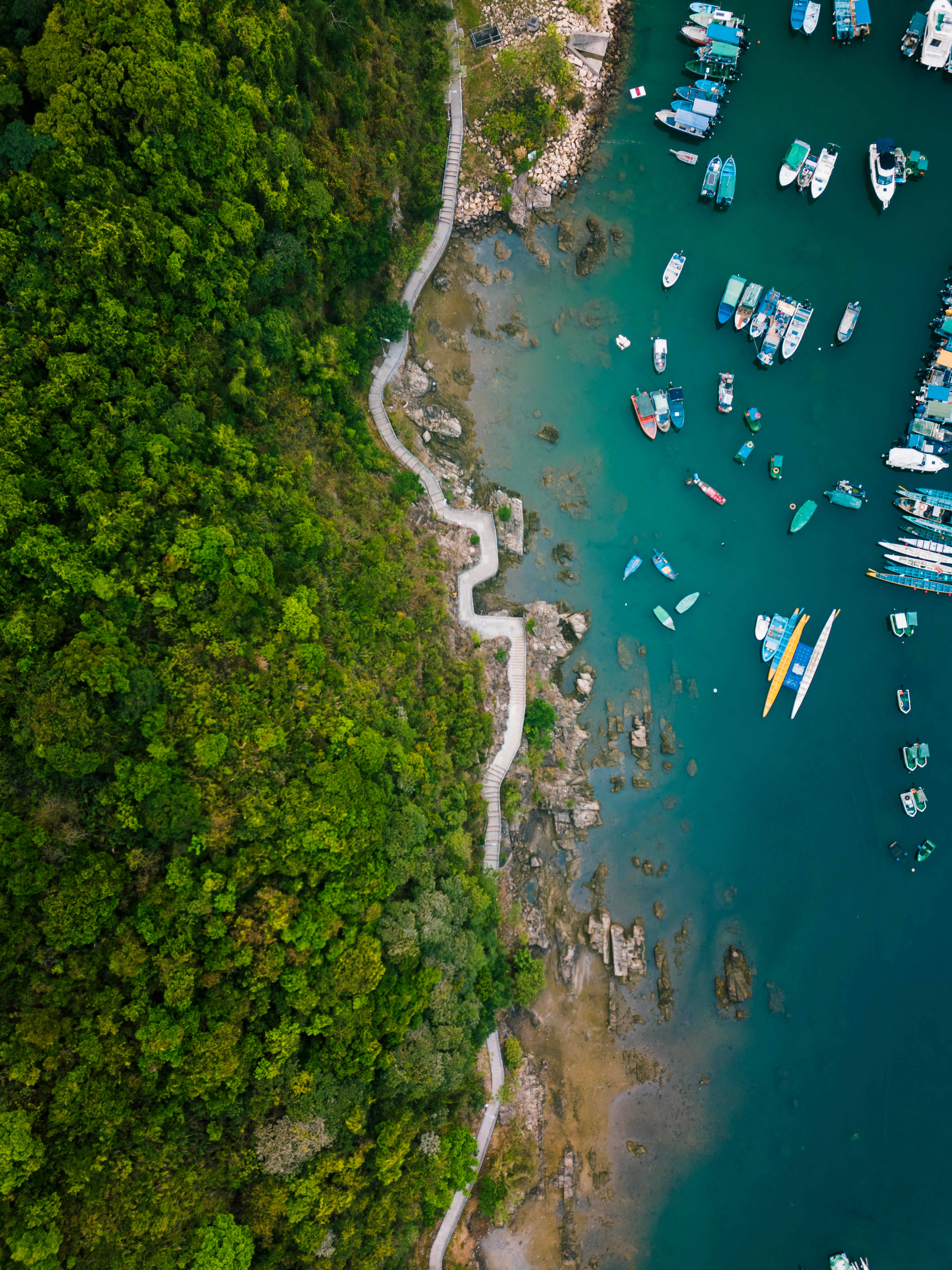 Hong Kong, seaside road, winding wooden path, 4K Phone Wallpaper
