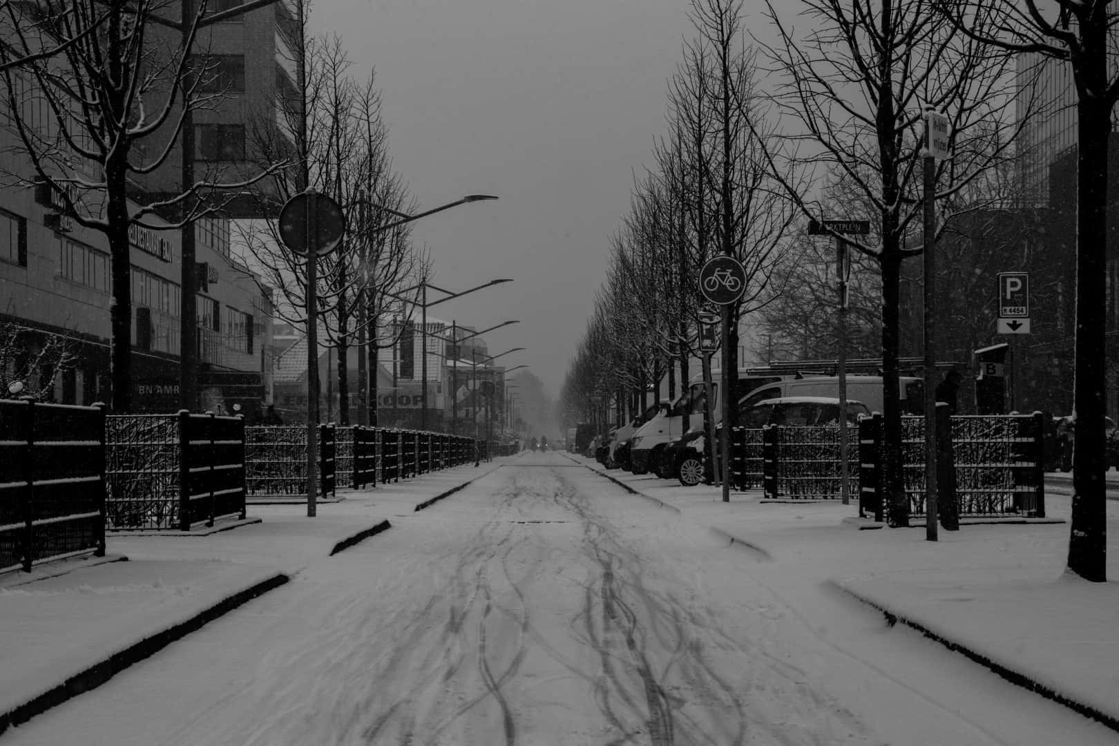 Hoofddorp, snow-covered urban street, bare trees, HD Desktop Wallpaper
