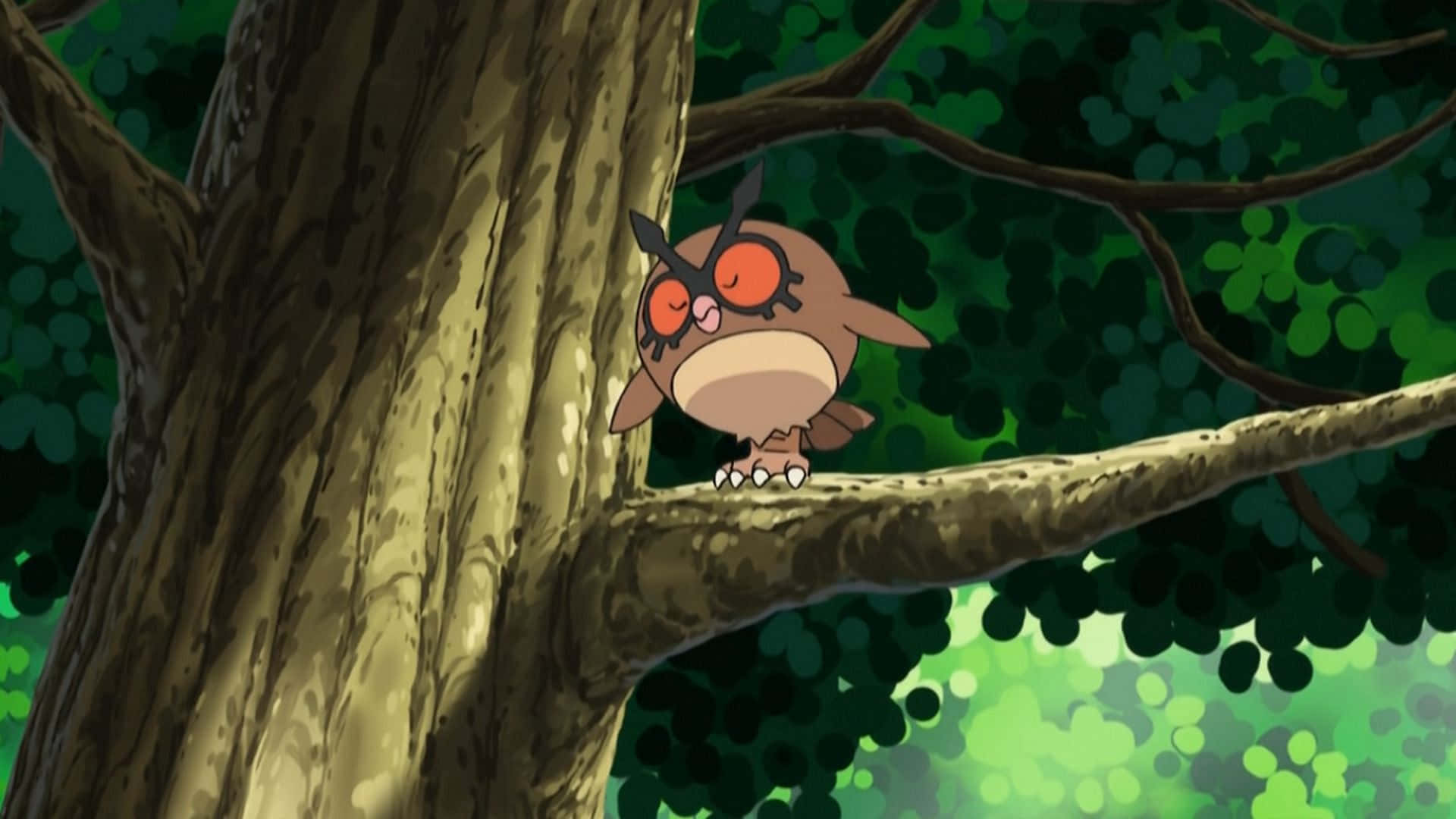 Hoothoot, tree branch, red eyes, Full HD Desktop Wallpaper