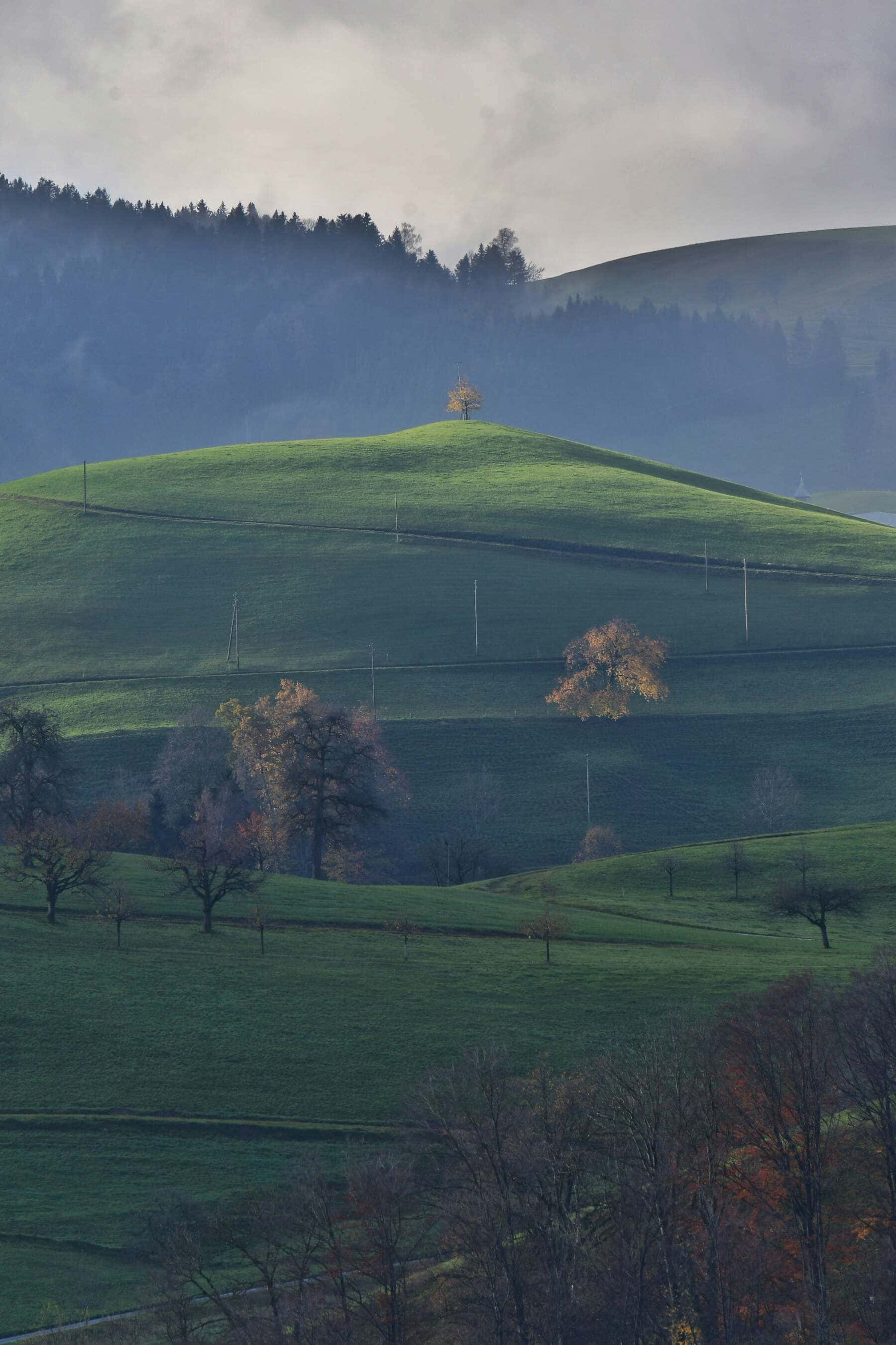 Horgen Switzerland, rolling hills, misty green hill, 2K Phone Wallpaper