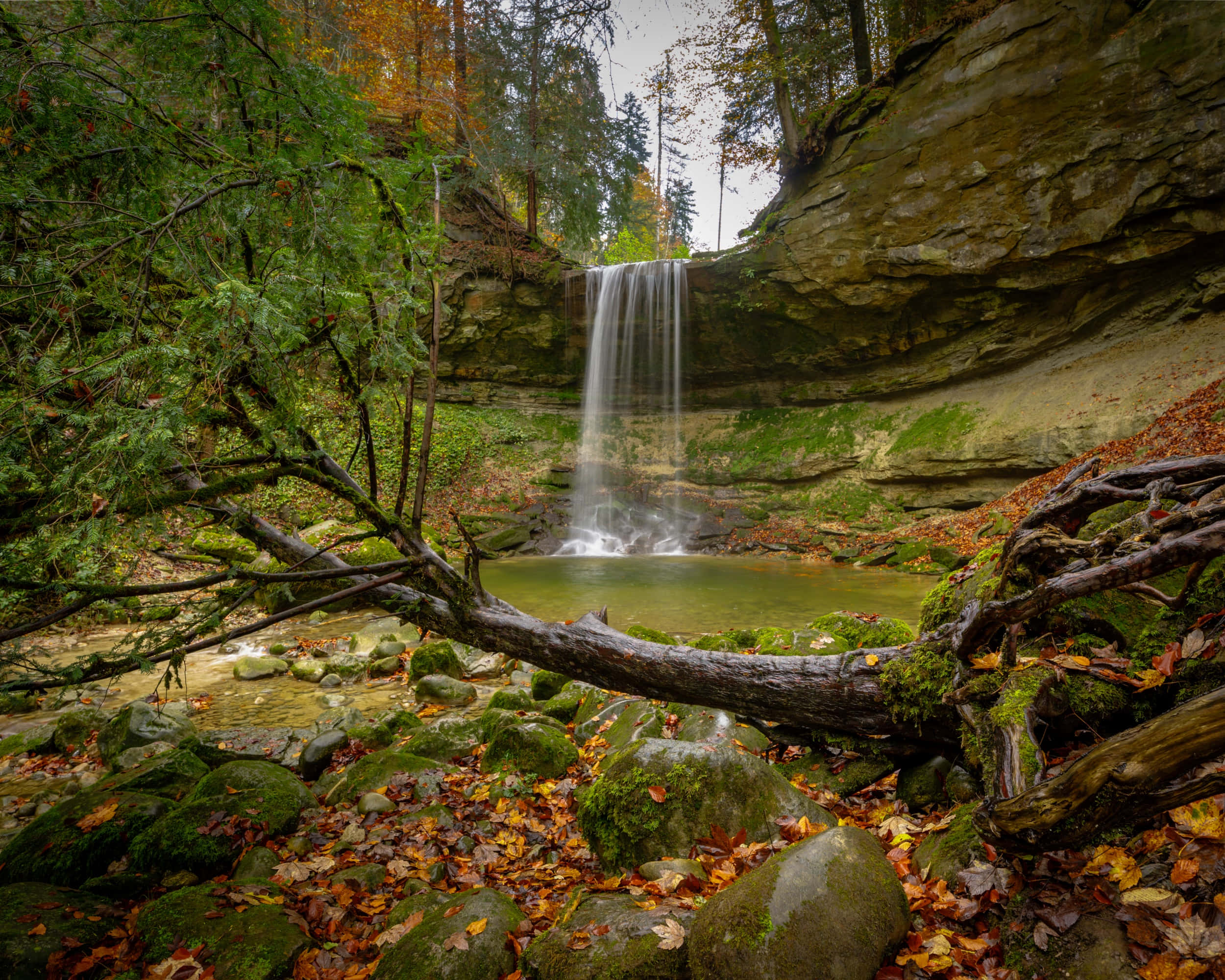 autumn waterfall, mossy pool, fallen leaves, Full HD Desktop Wallpaper