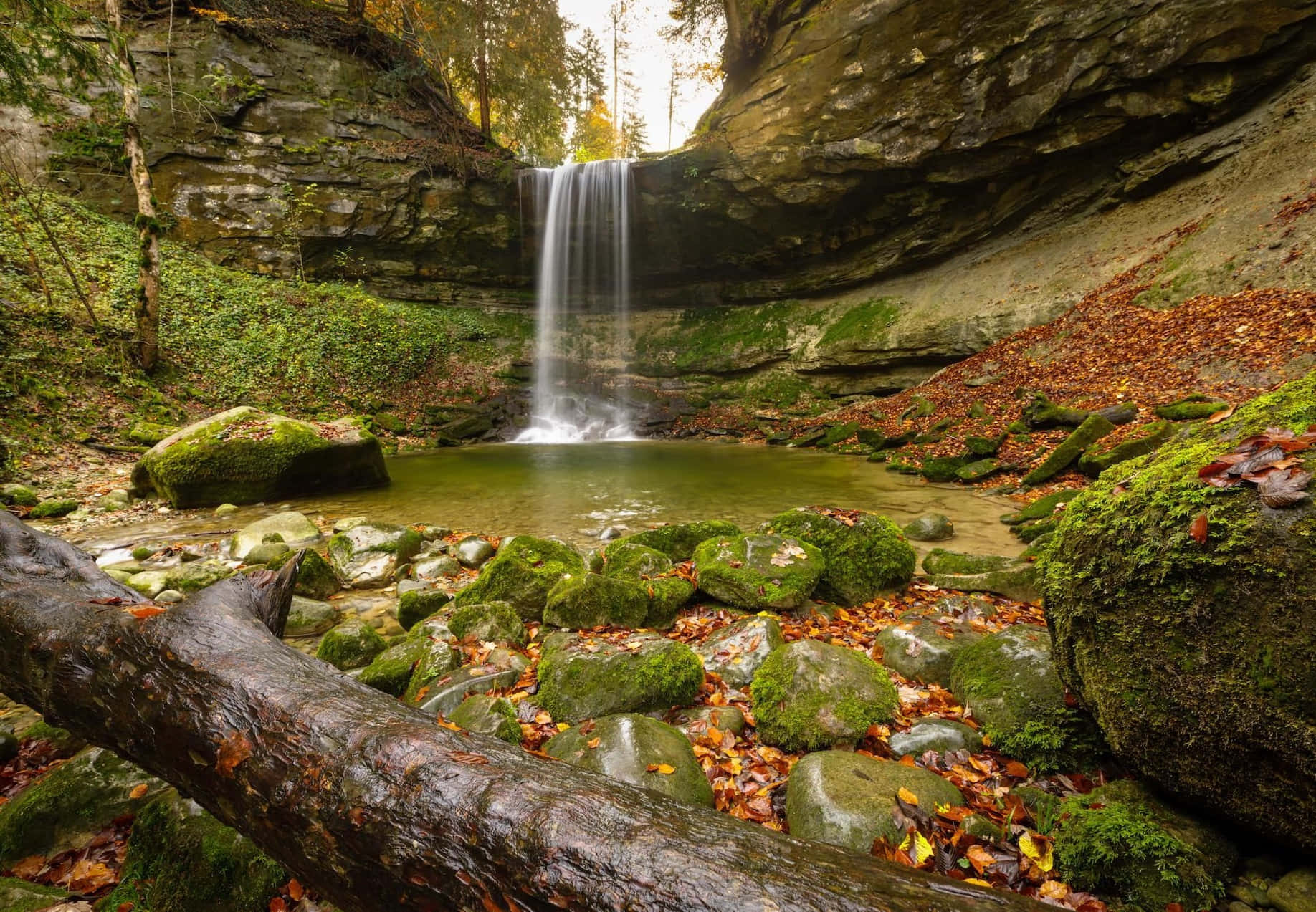 Autumn Waterfall, Horgen Switzerland, mossy pool, HD Desktop Wallpaper