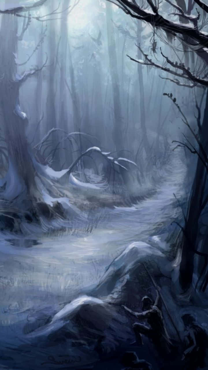 Horror iPhone, spooky forest, misty winter forest, HD Phone Wallpaper