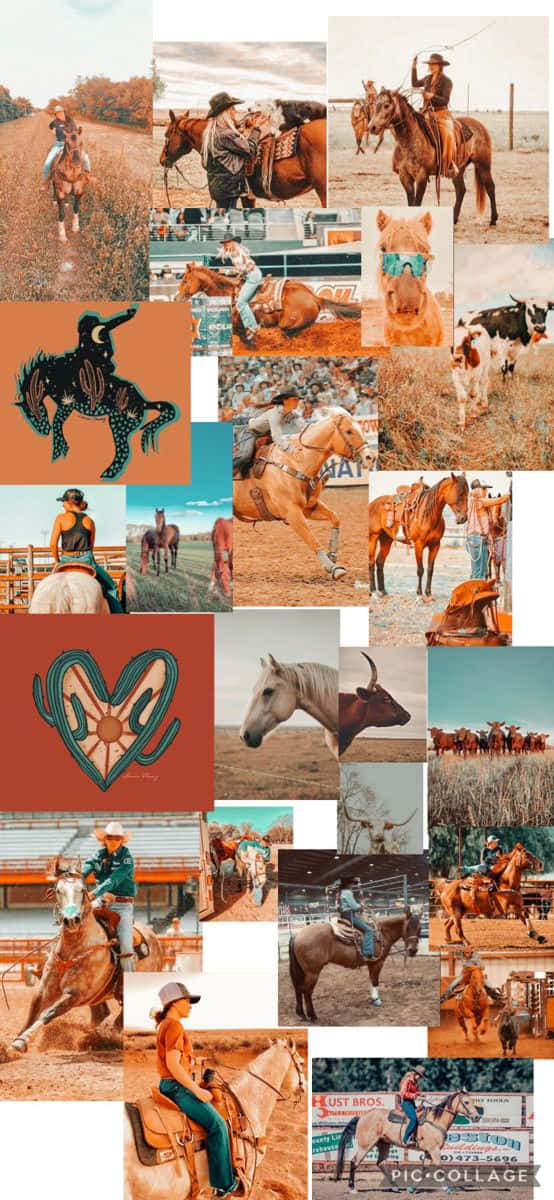 cowboy riders, horses, dusty arenas, SD Phone Wallpaper