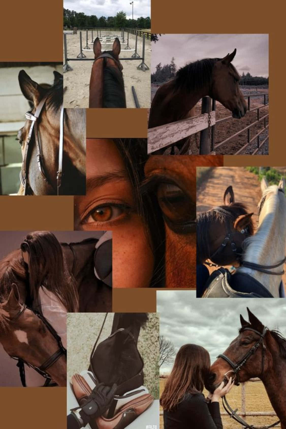 Horse Collage, eyes, bridles, HD Phone Wallpaper