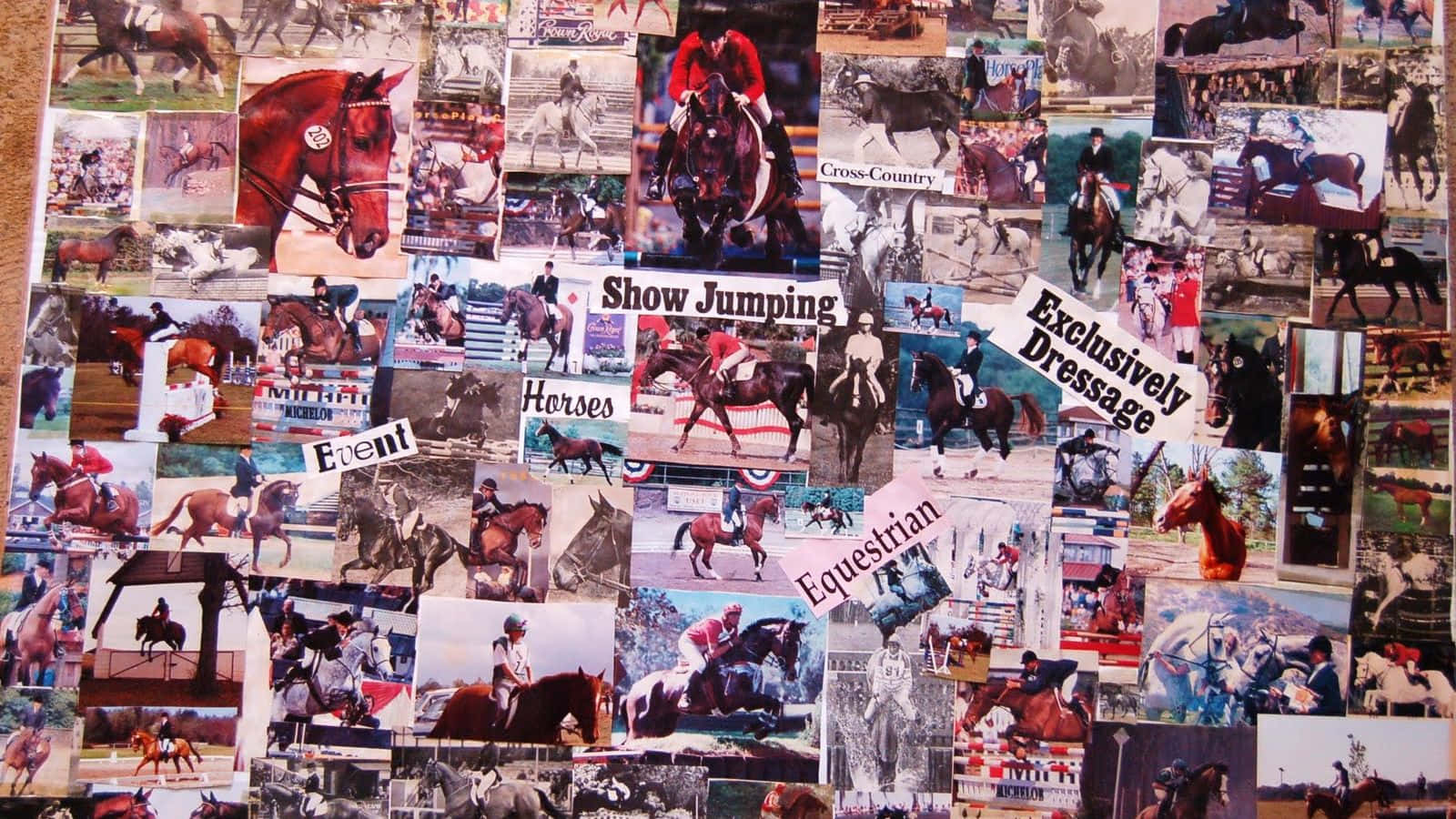 horseback riding, show jumping, dressage, HD Desktop Wallpaper