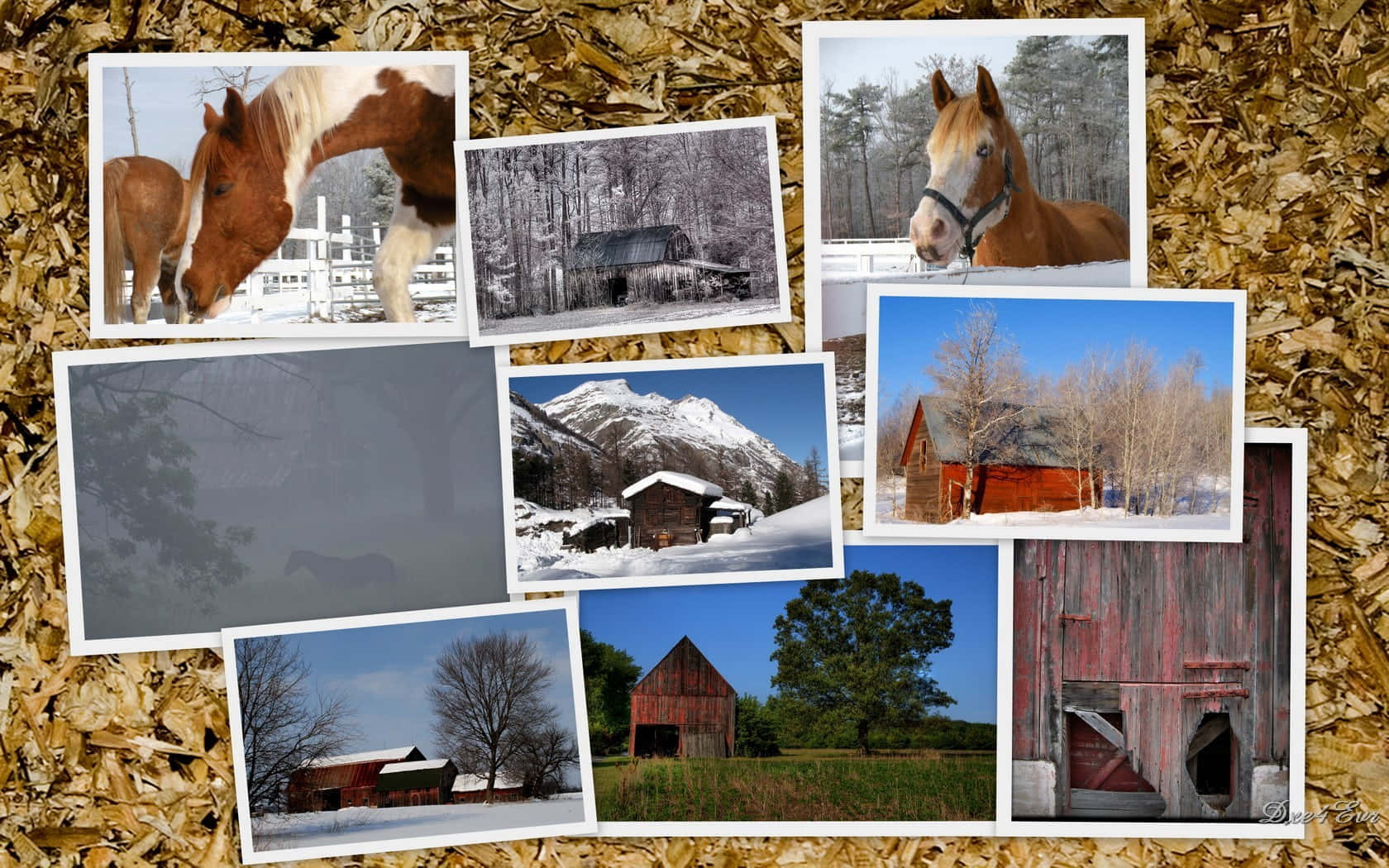 horse, winter scenes, rustic barns, HD Desktop Wallpaper