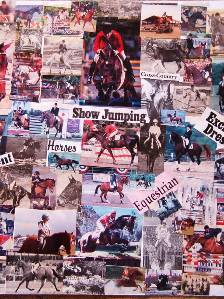 Horse Collage, horse racing, show jumping, SD Phone Wallpaper
