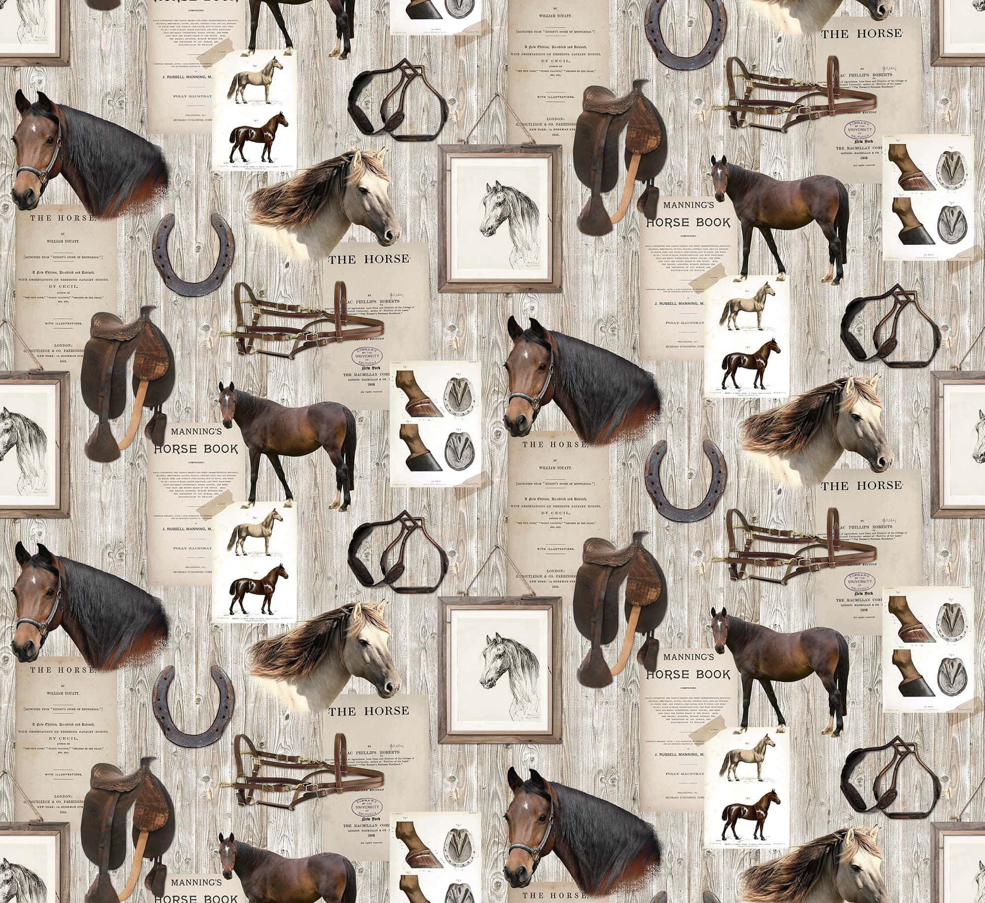 horse, horseshoe pattern, saddles, Full HD Desktop Wallpaper