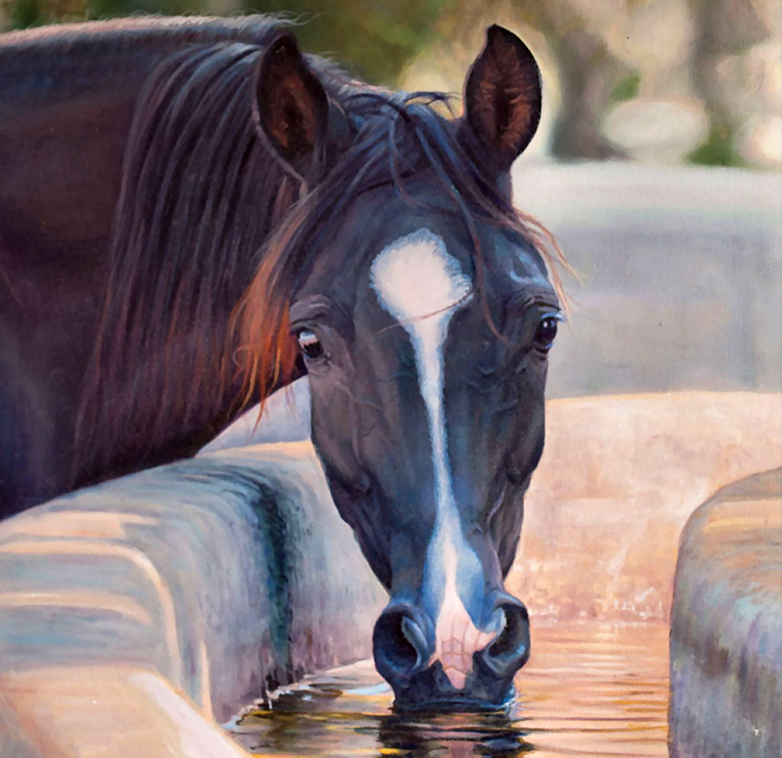 bay horse, white blaze, stone trough, HD Desktop Wallpaper