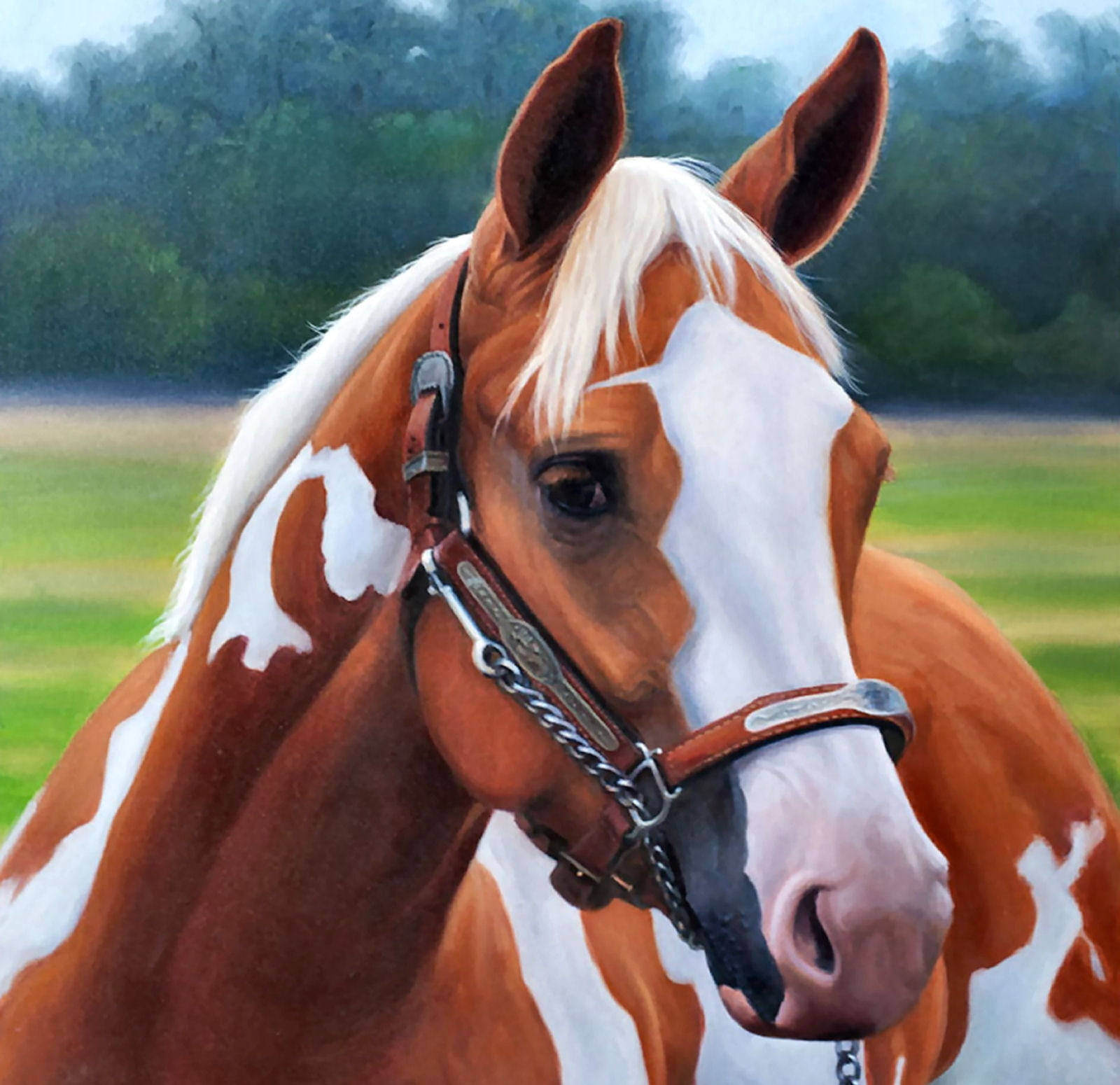 chestnut and white pinto horse, detailed bridle, soft-focus green pasture, HD Desktop Wallpaper