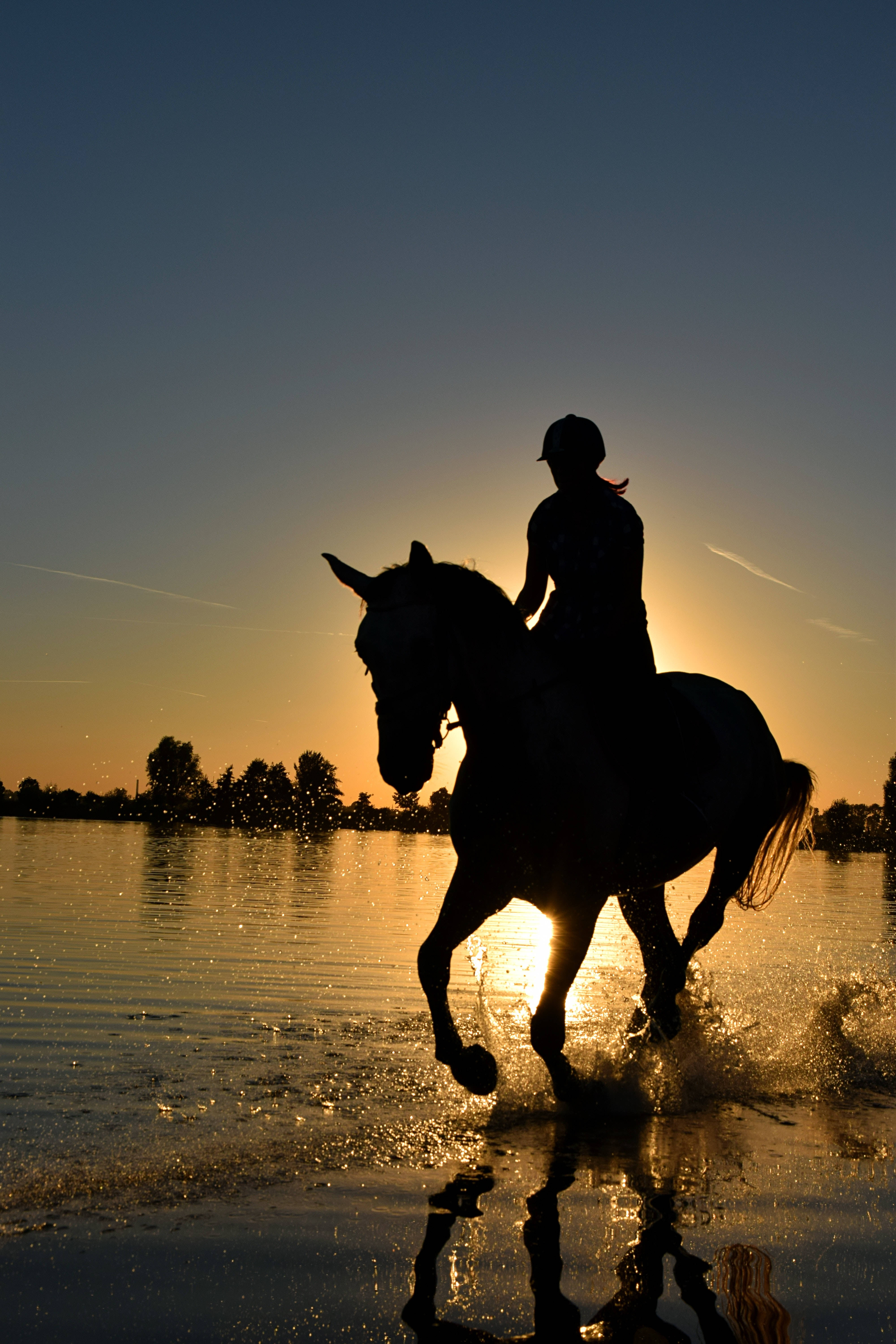 running silhouette horse, rider and horse, galloping, 5K Phone Wallpaper