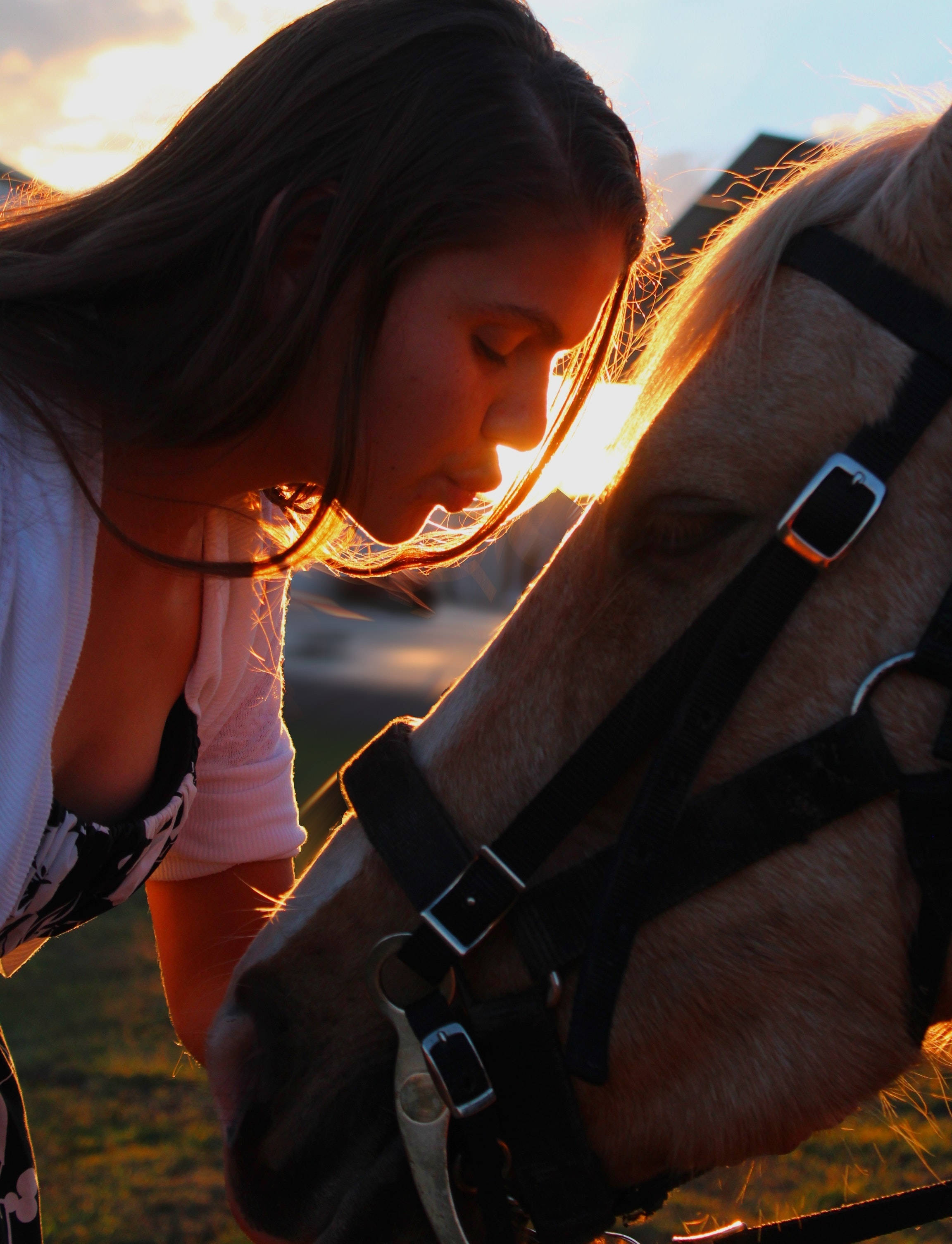 girl, horse, golden sunset, 2K Phone Wallpaper