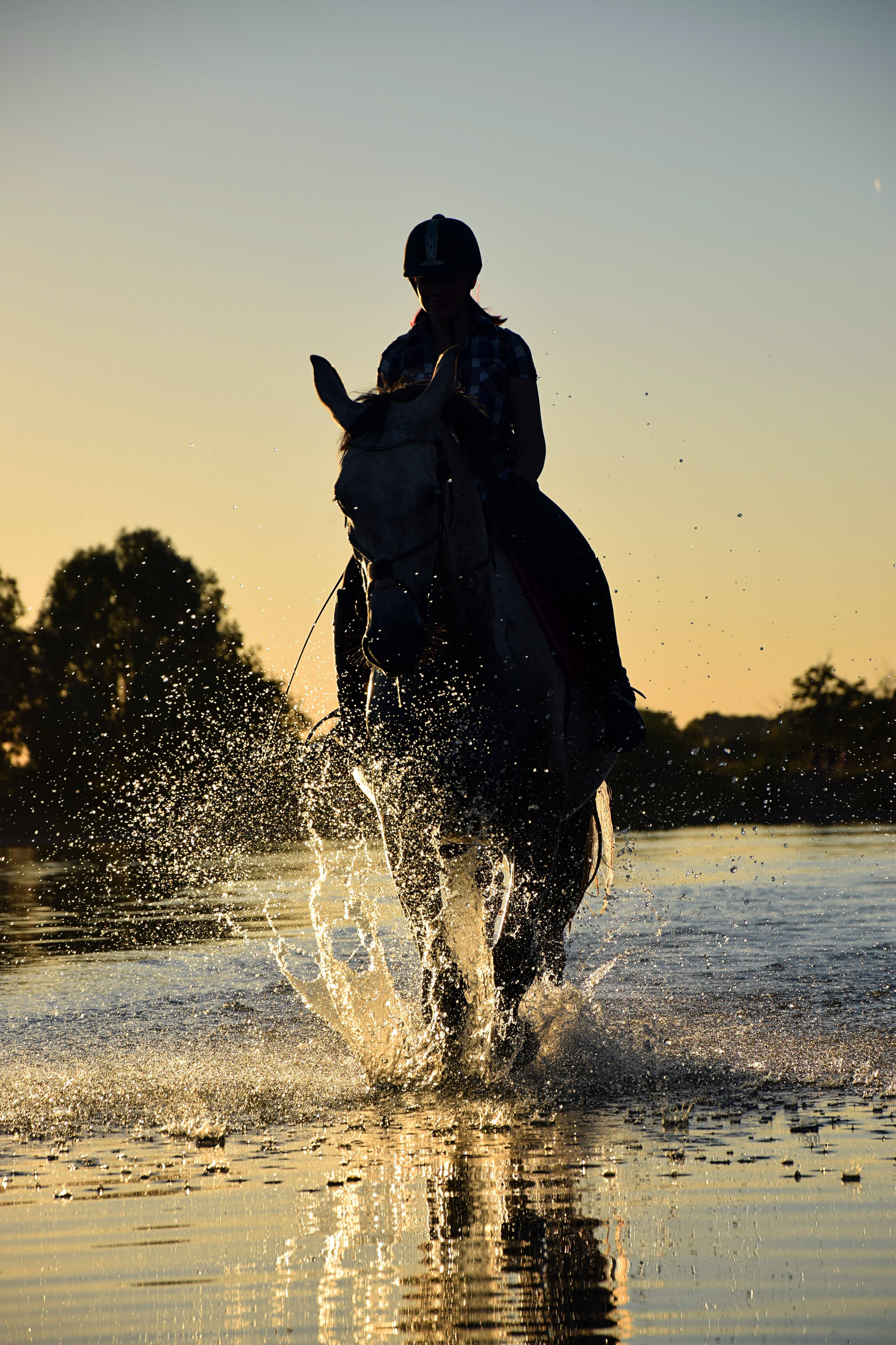 Running In Water Horse iPhone, horse, rider, 5K Phone Wallpaper