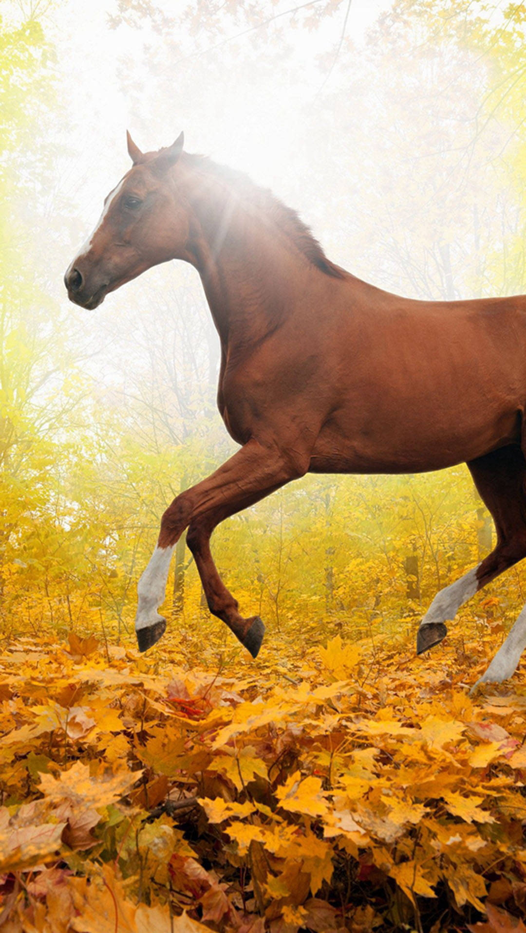 chestnut horse, golden autumn forest, fallen leaves, HD Phone Wallpaper