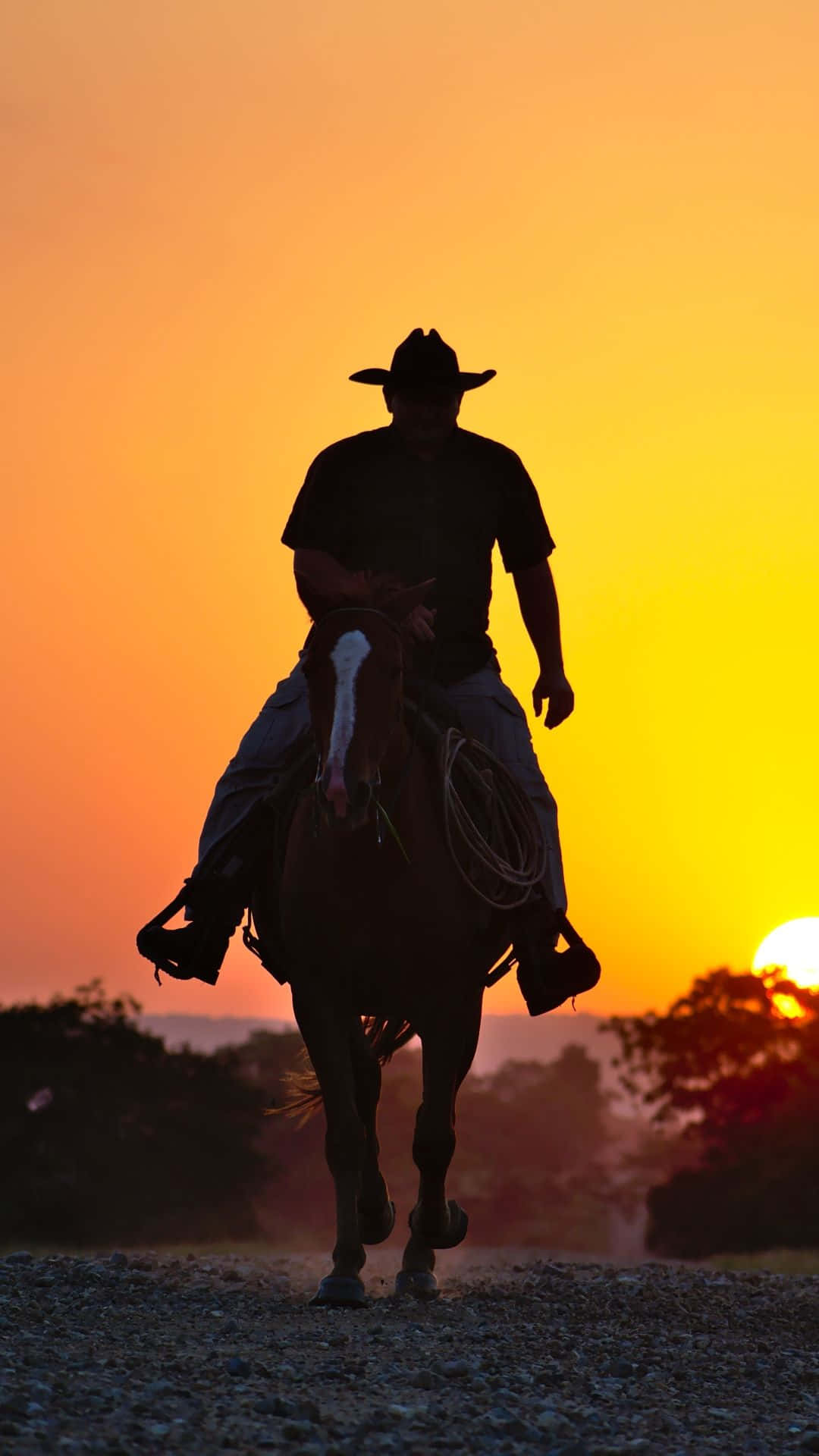 cowboy, horse, fiery sunset sky, Full HD Phone Wallpaper