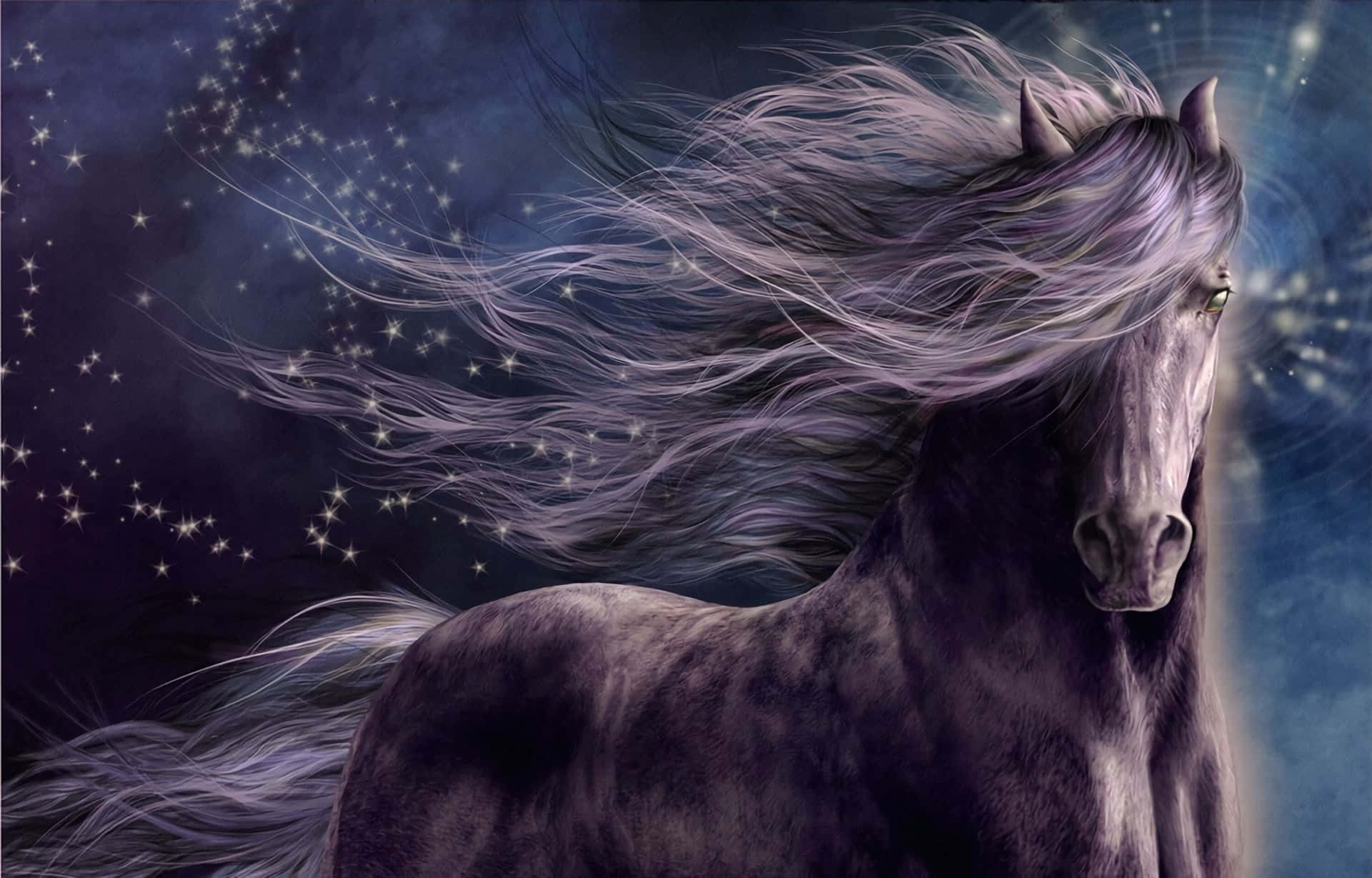 mystical starry horse, dark horse, purple mane, Full HD Desktop Wallpaper