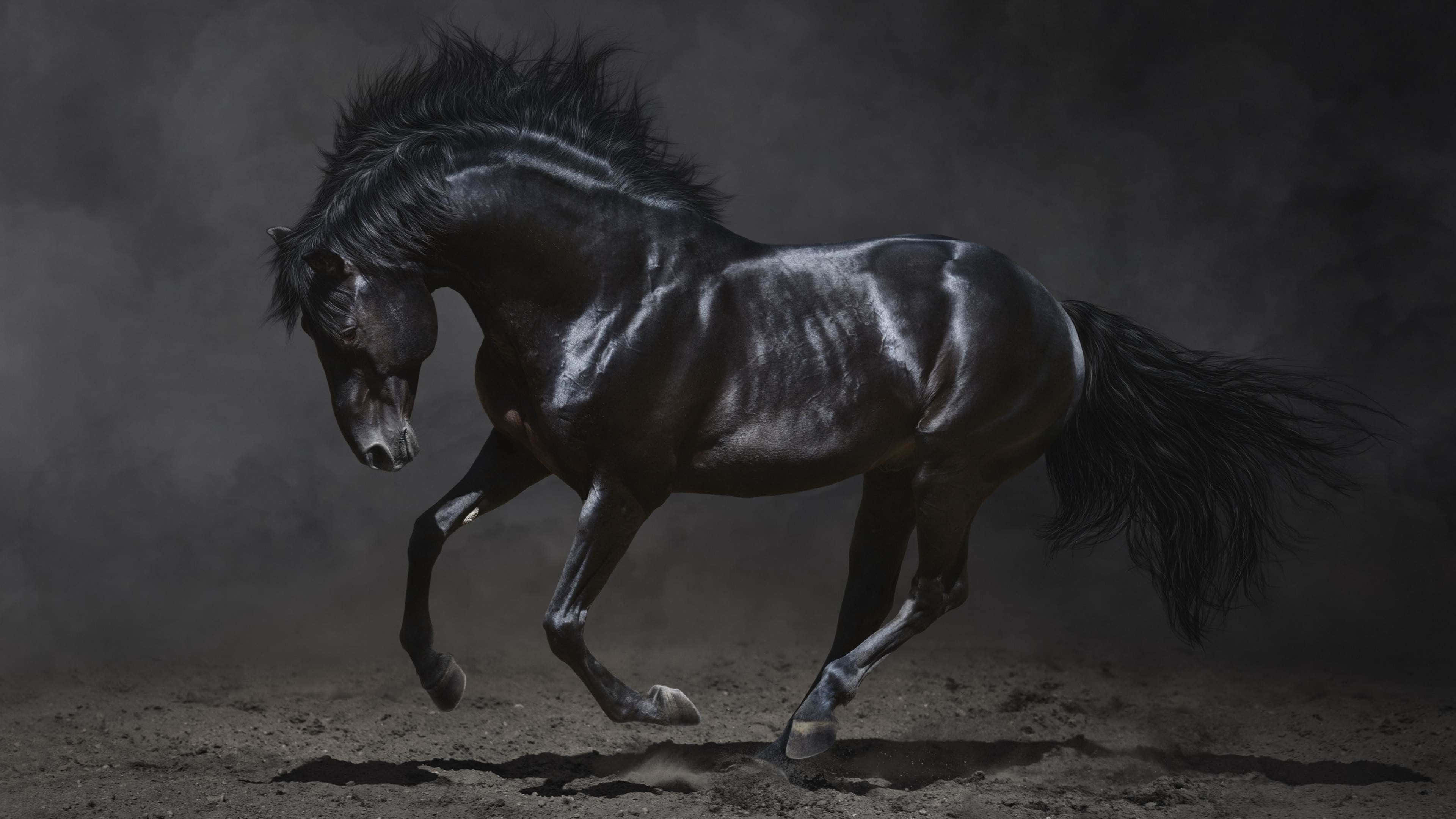 majestic black stallion, dusty terrain, smoky gray sky, 4K Desktop Wallpaper