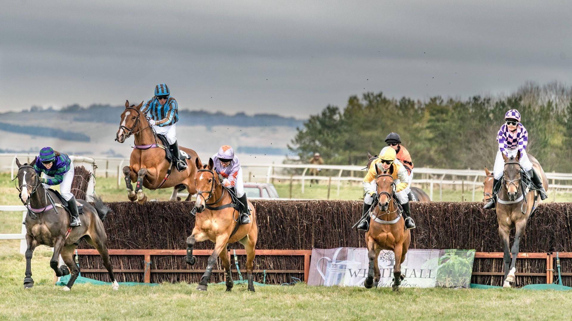professional horsemen, horse racing, jockeys, Full HD Desktop Wallpaper