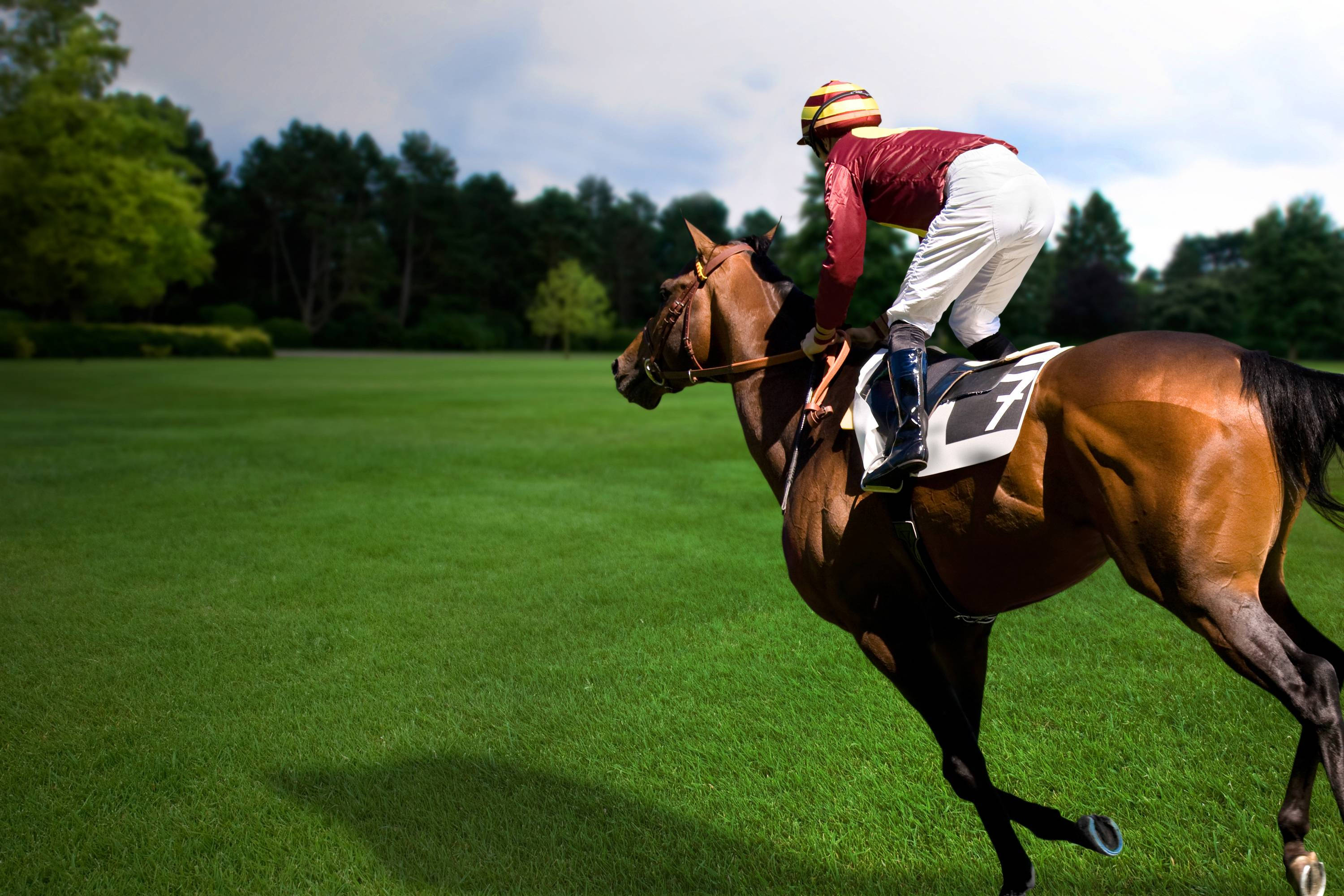 horse racing, firm grass ground, red and white, 2K Desktop Wallpaper
