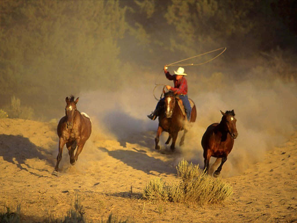 cowboy, horseback, lasso, SD Desktop Wallpaper