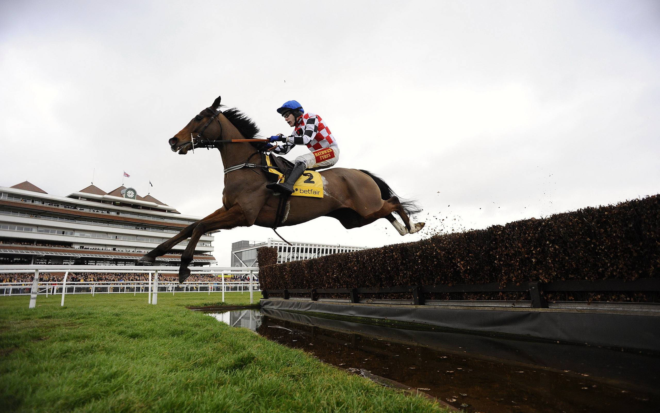 horse racing, cloudy weather, red and white checkered silks, 2K Desktop Wallpaper