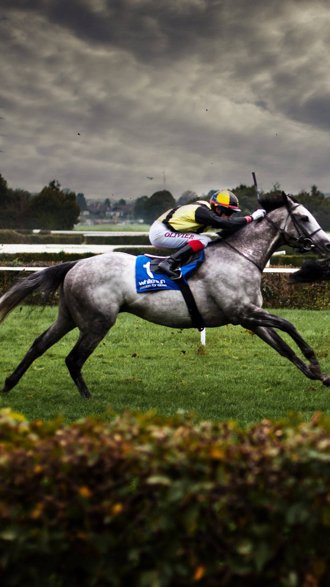 yellow helmet, grey racehorse, green track, Full HD Phone Wallpaper