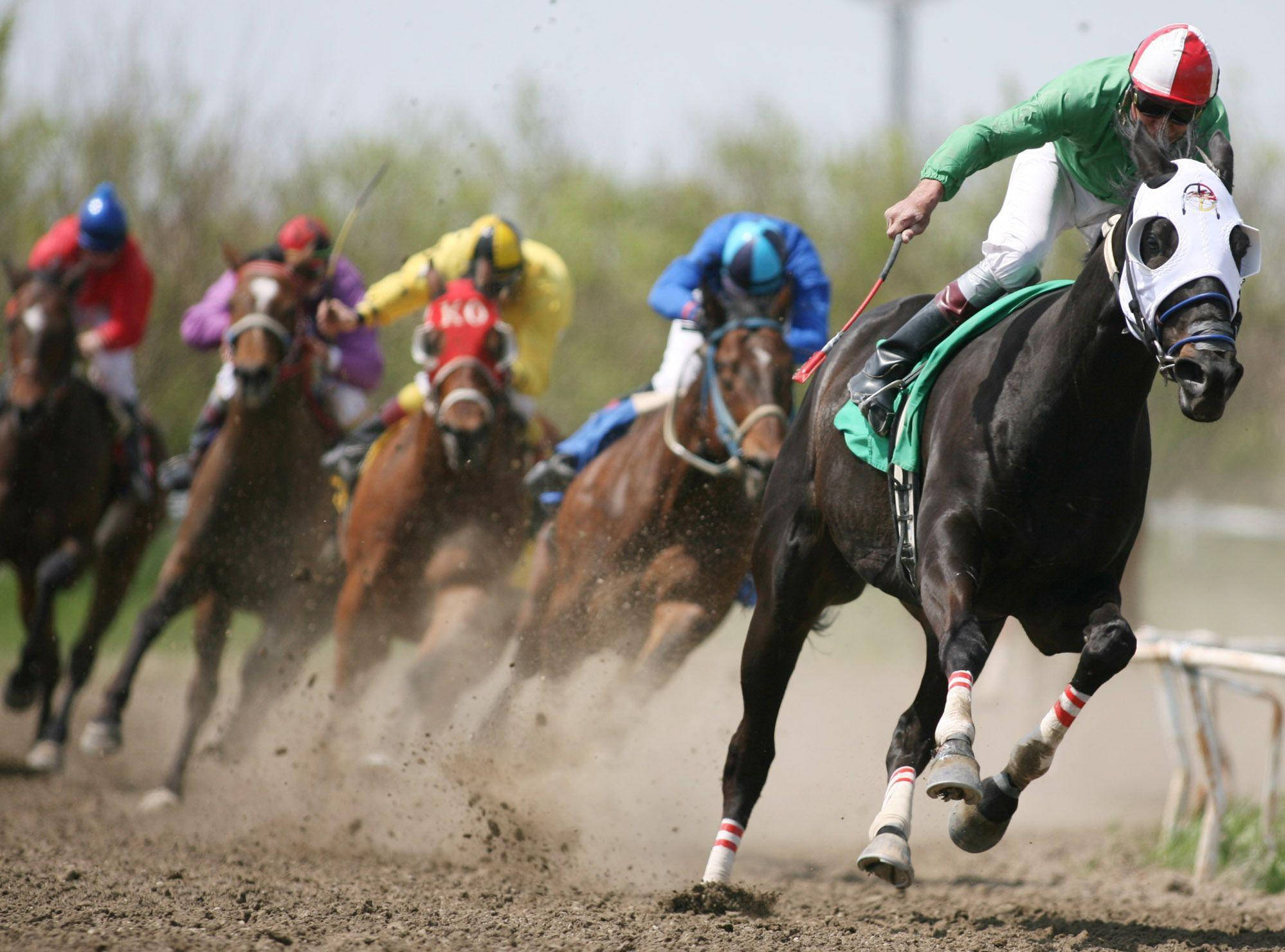 masked horses, horse racing, colorful silks, Full HD Desktop Wallpaper