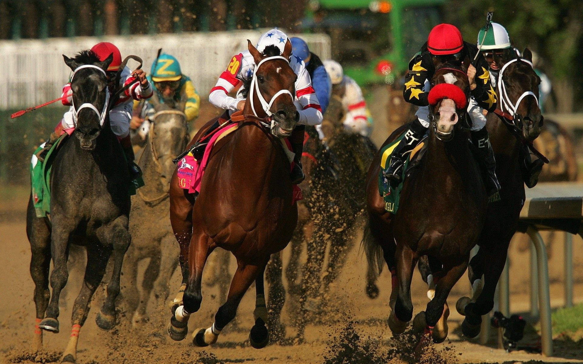 racing horse, mud splatters, colorful silks, Full HD Desktop Wallpaper