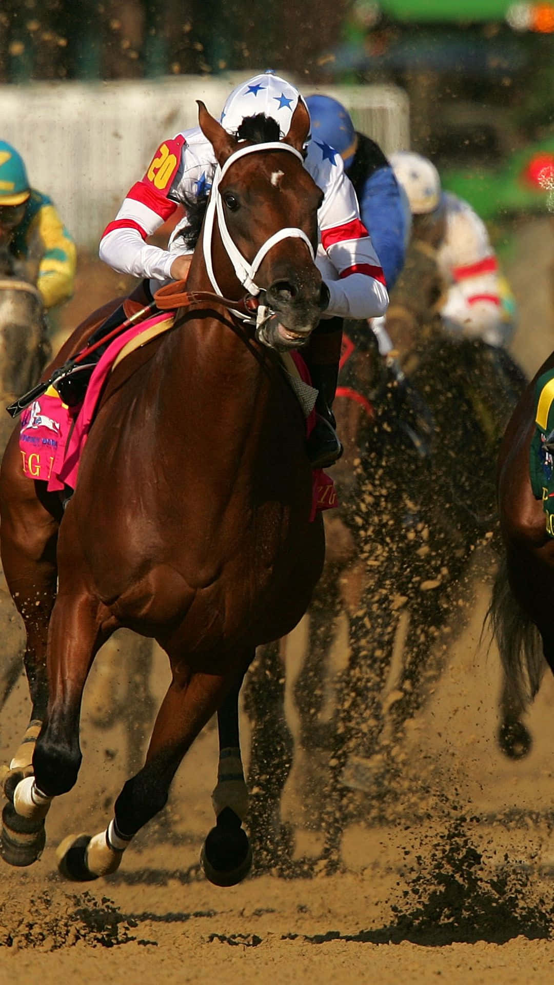 jockey, red white and blue stars, brown racehorse, Full HD Phone Wallpaper