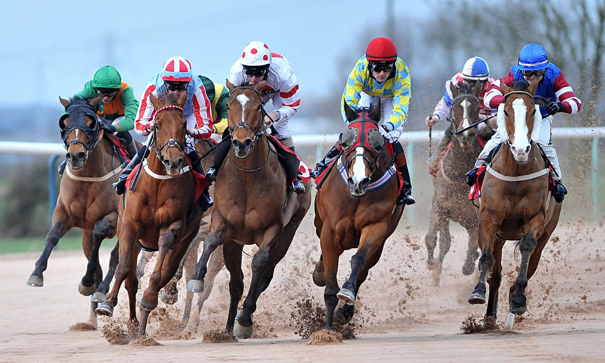 horse racing, rainy day, colorful silks, Full HD Desktop Wallpaper