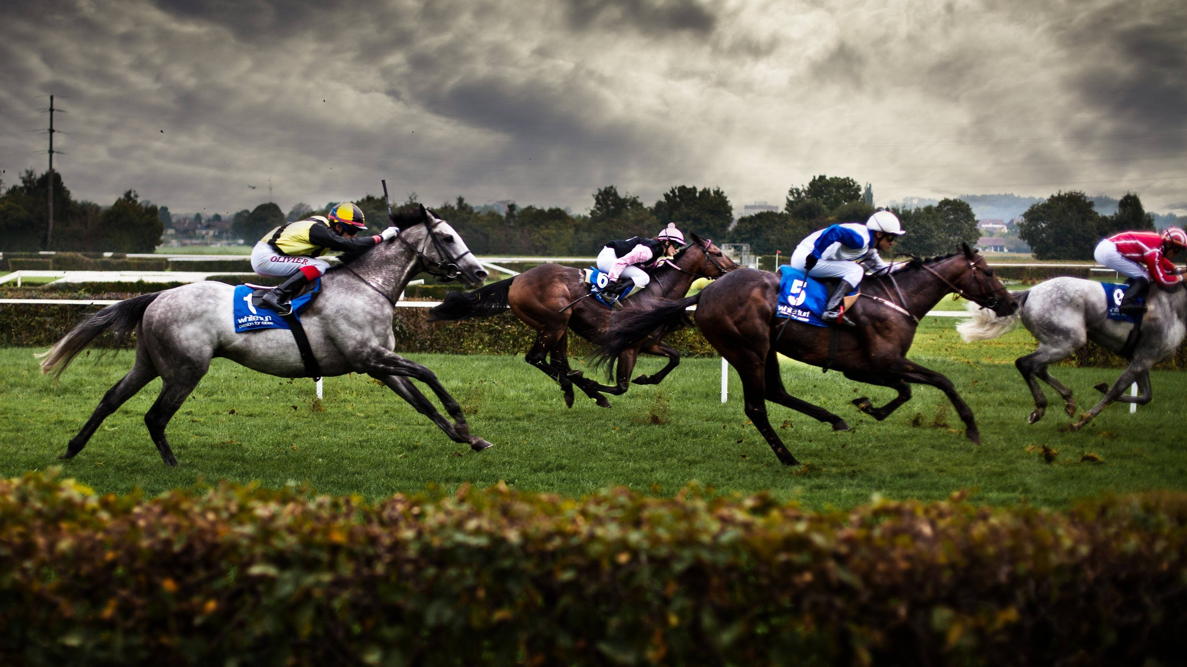 horse racing, colorful silks, lush green track, 4K Desktop Wallpaper