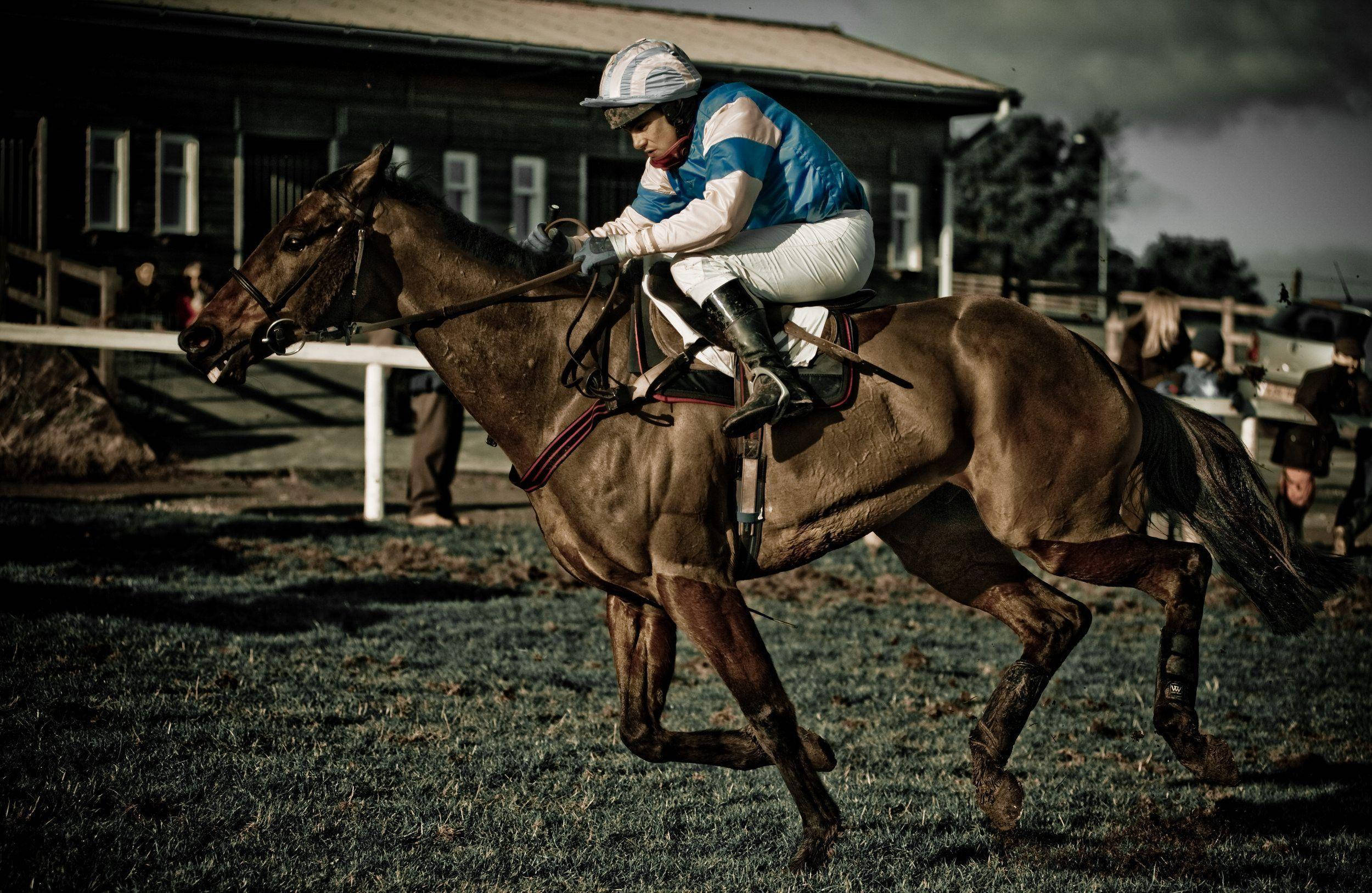 blue and white silks, brown racehorse, grassy track, Full HD Desktop Wallpaper