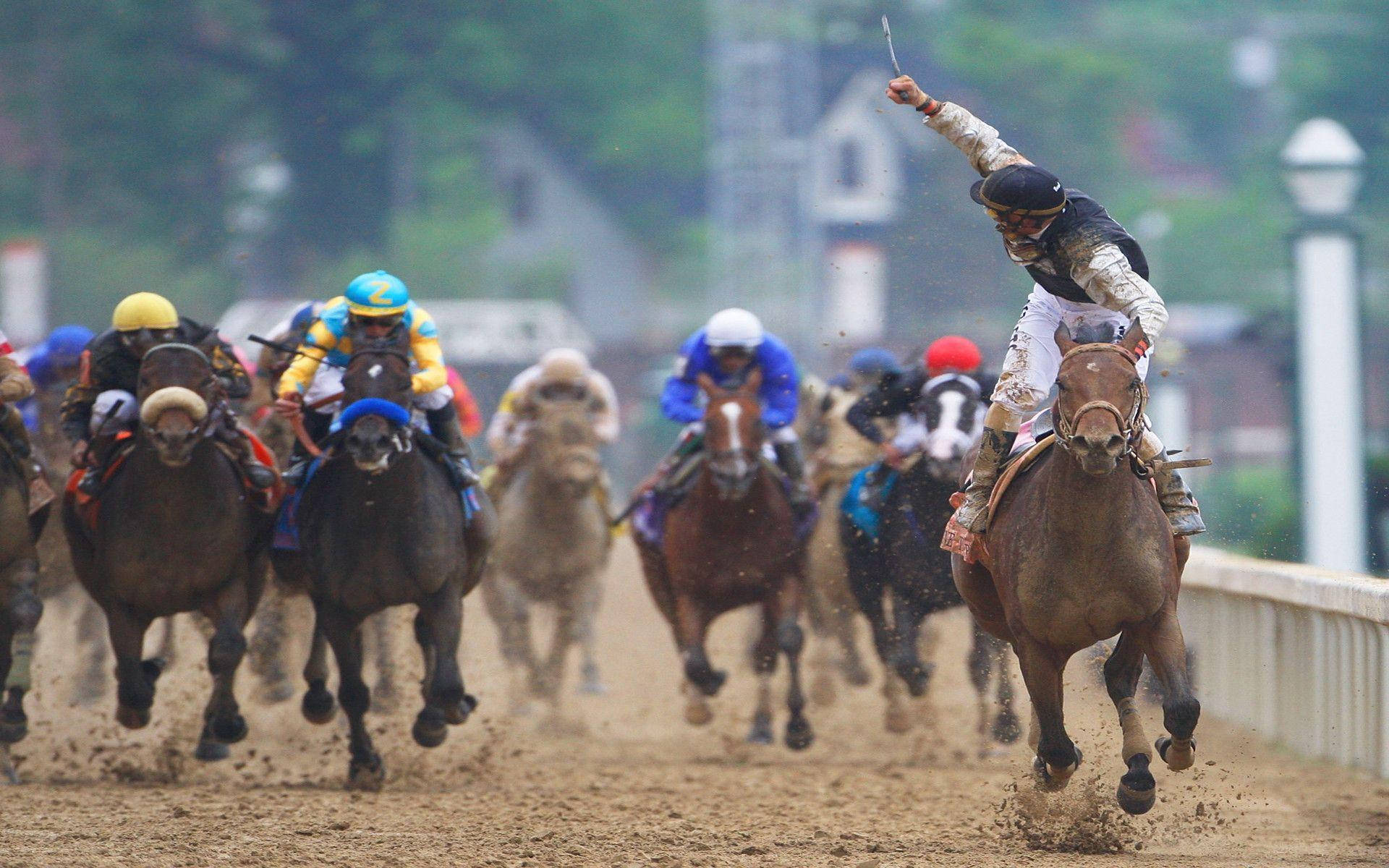 horse racing, muddy track, dirt track, Full HD Desktop Wallpaper