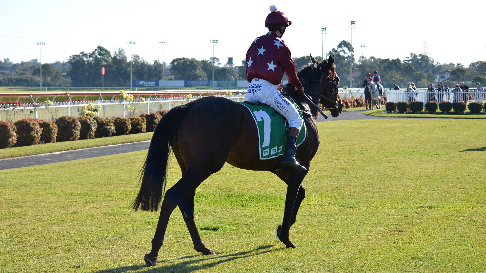 jockey, star-patterned silks, dark horse, Full HD Desktop Wallpaper